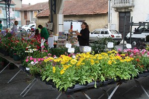 Mielan Marche des Saveurs 05juillet2015 033 [320x200].JPG