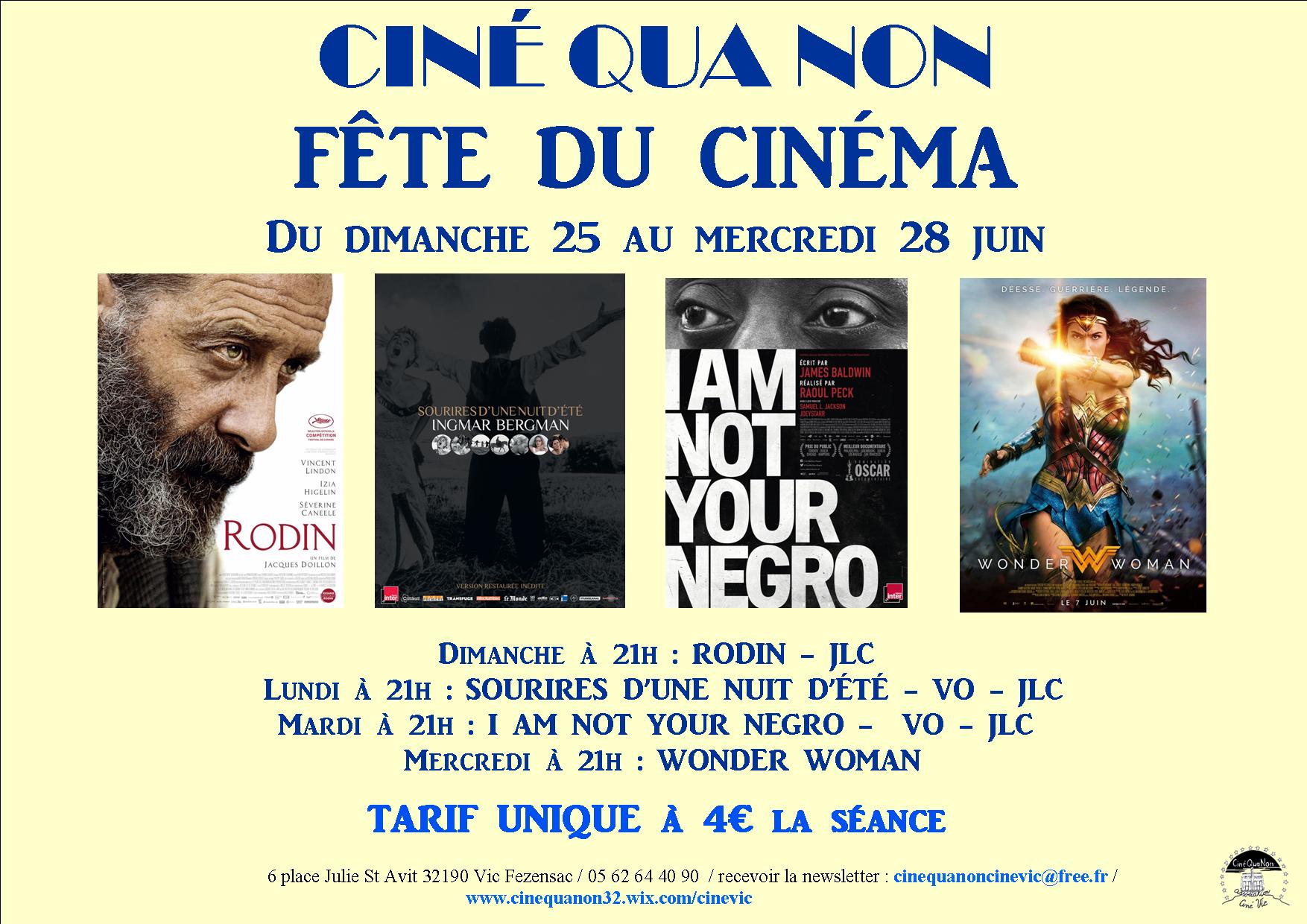 Fête du cinéma 2017.jpg