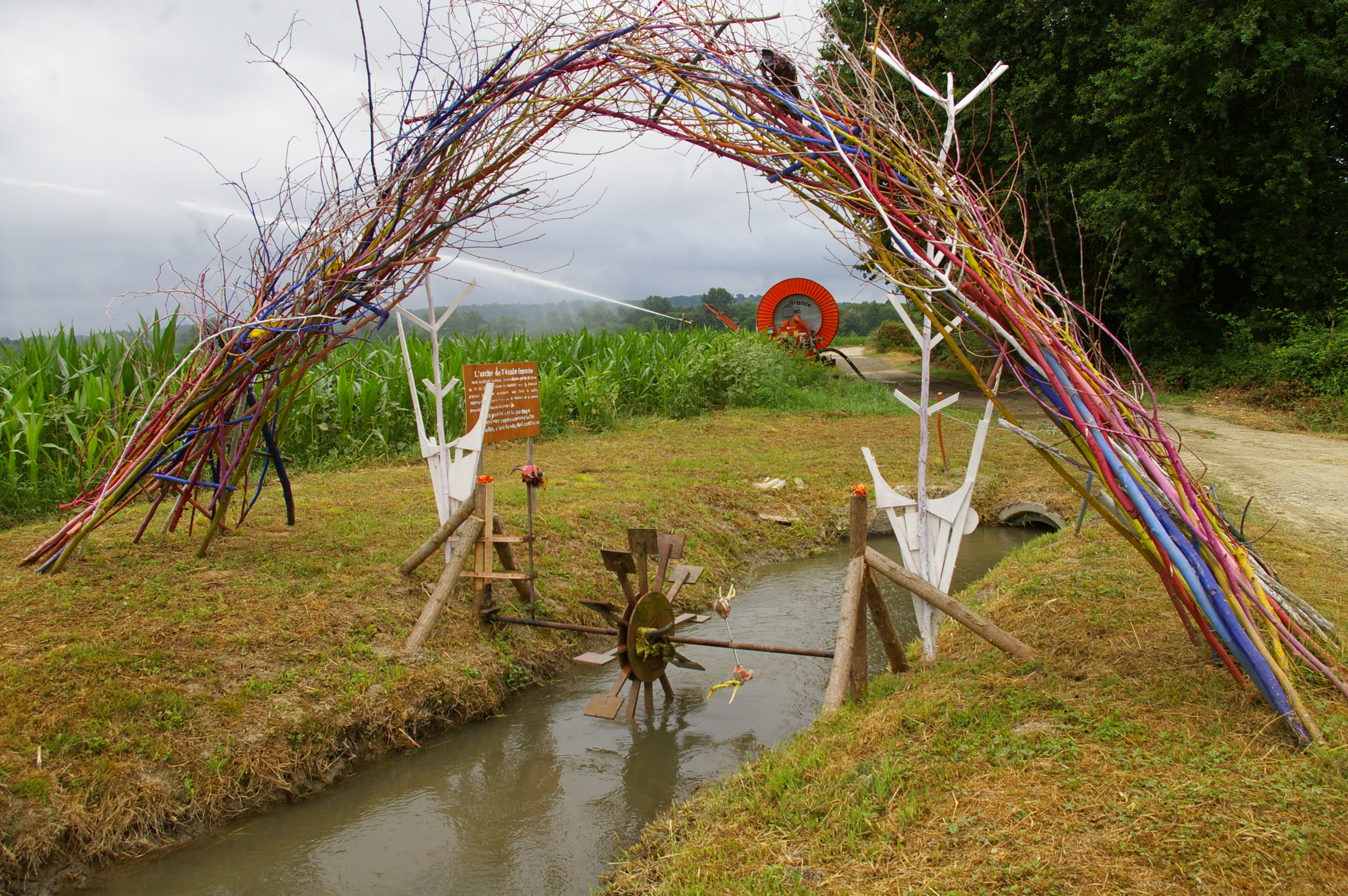 IMGP5021.JPG