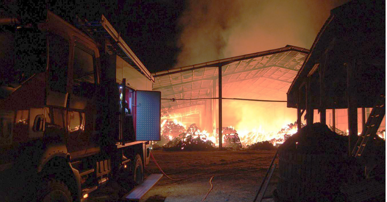 feu rozes 3.JPG