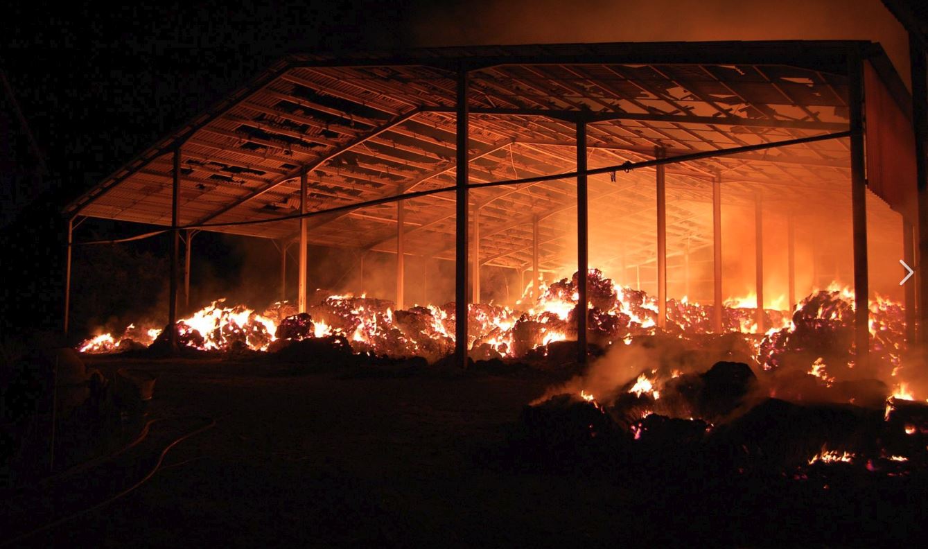 feu rozes 1.JPG