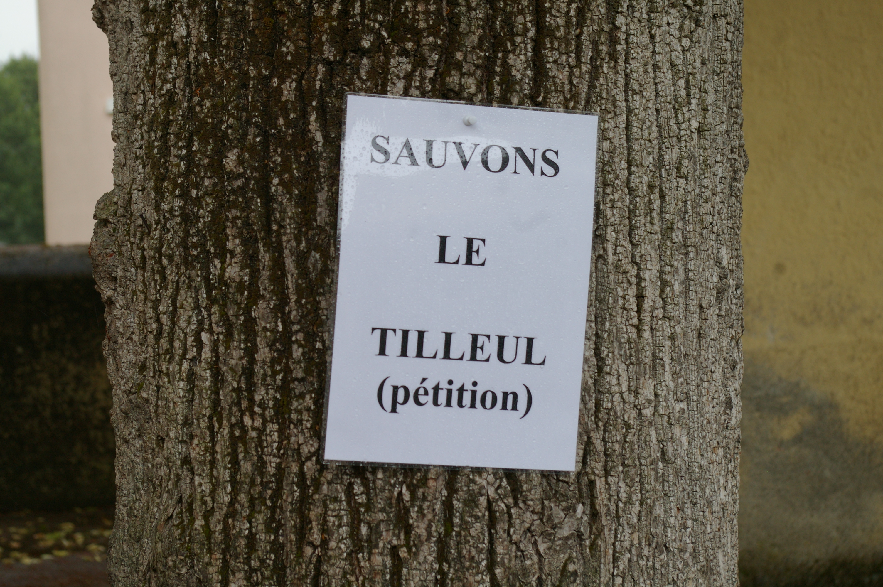 IMGP5144.JPG