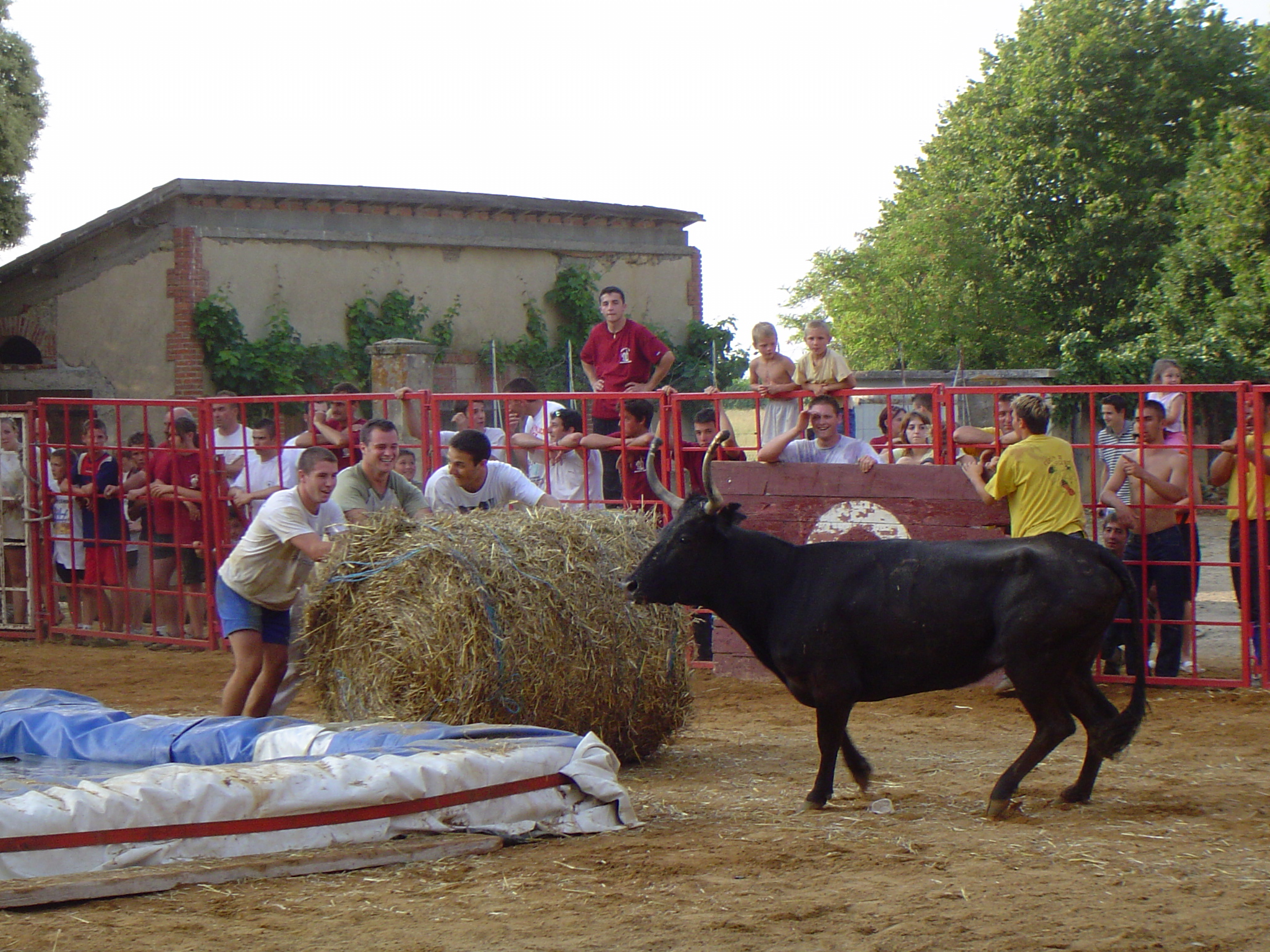 COURSE LANDAISE ( FETE) 2006.JPG