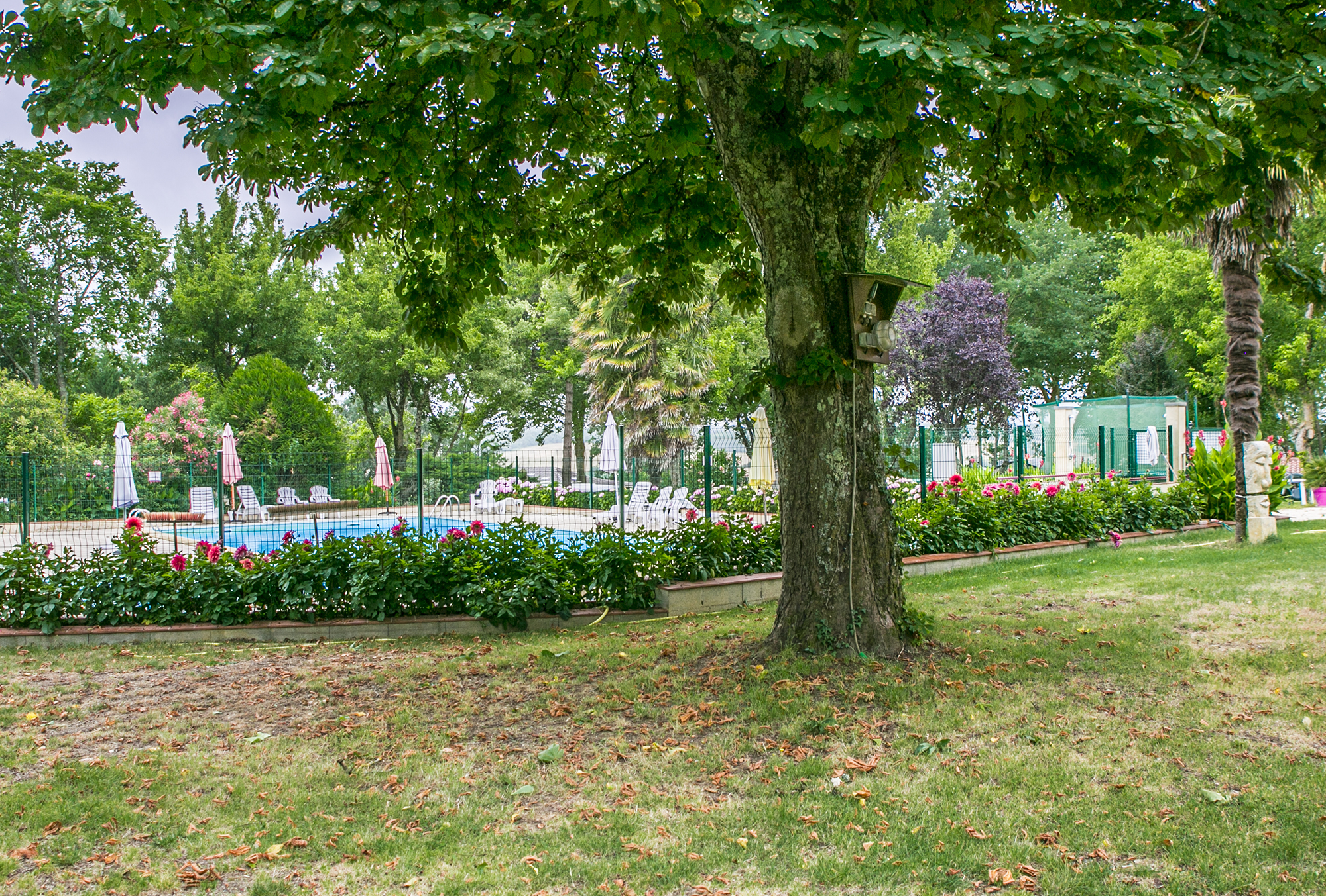 5 La piscine 1bis 300617.jpg