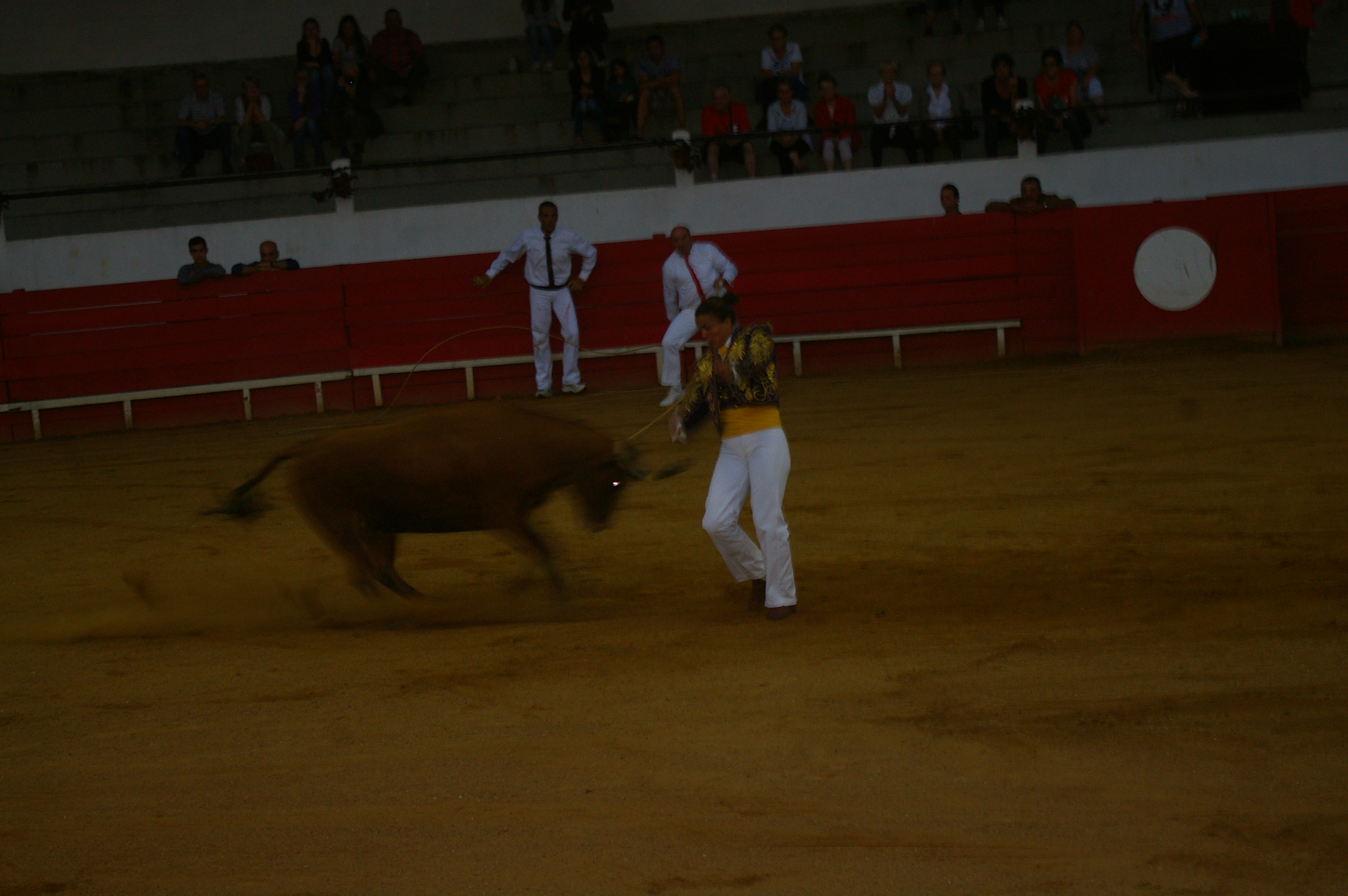 IMGP5288.JPG