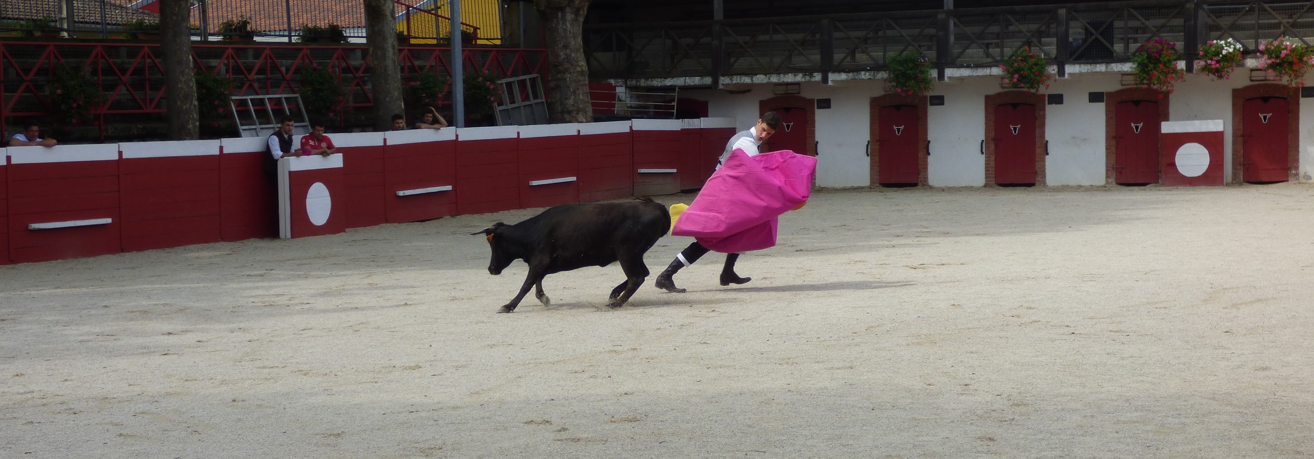P1020352.JPG