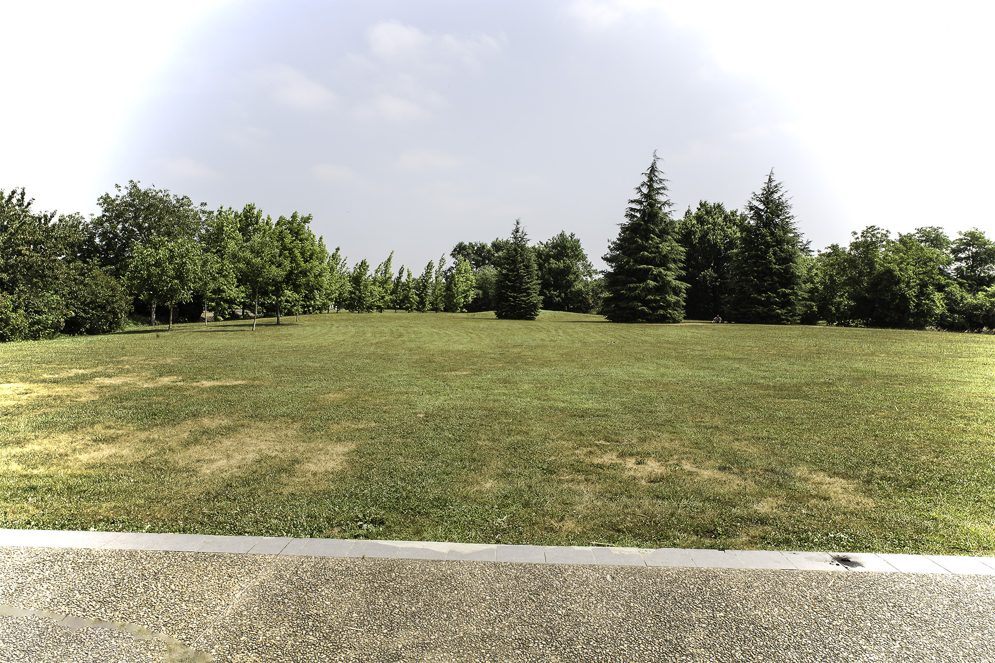 Vue du parc de la salle d'animation 1bis juin 2017.jpg