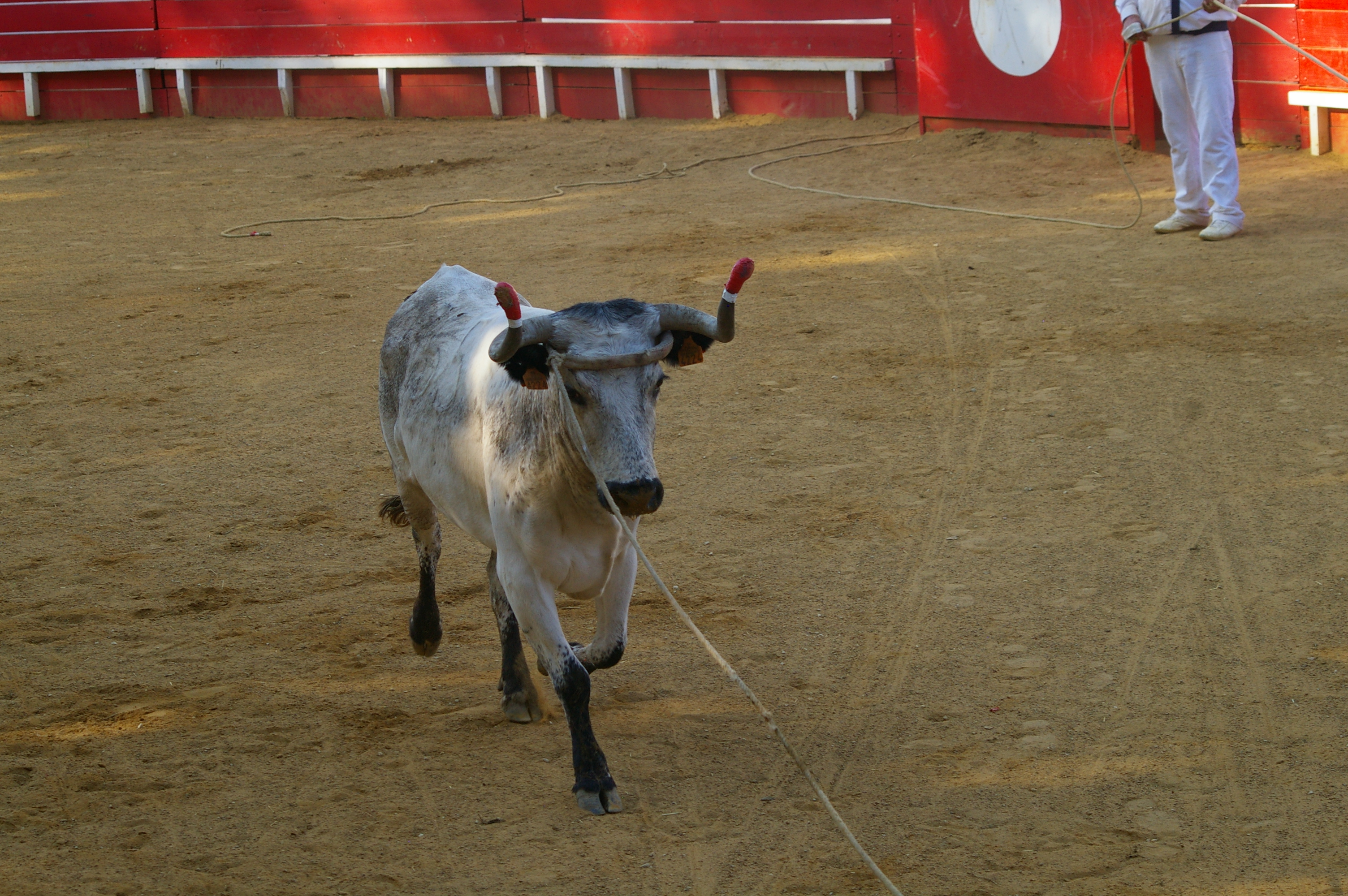 IMGP5572.JPG