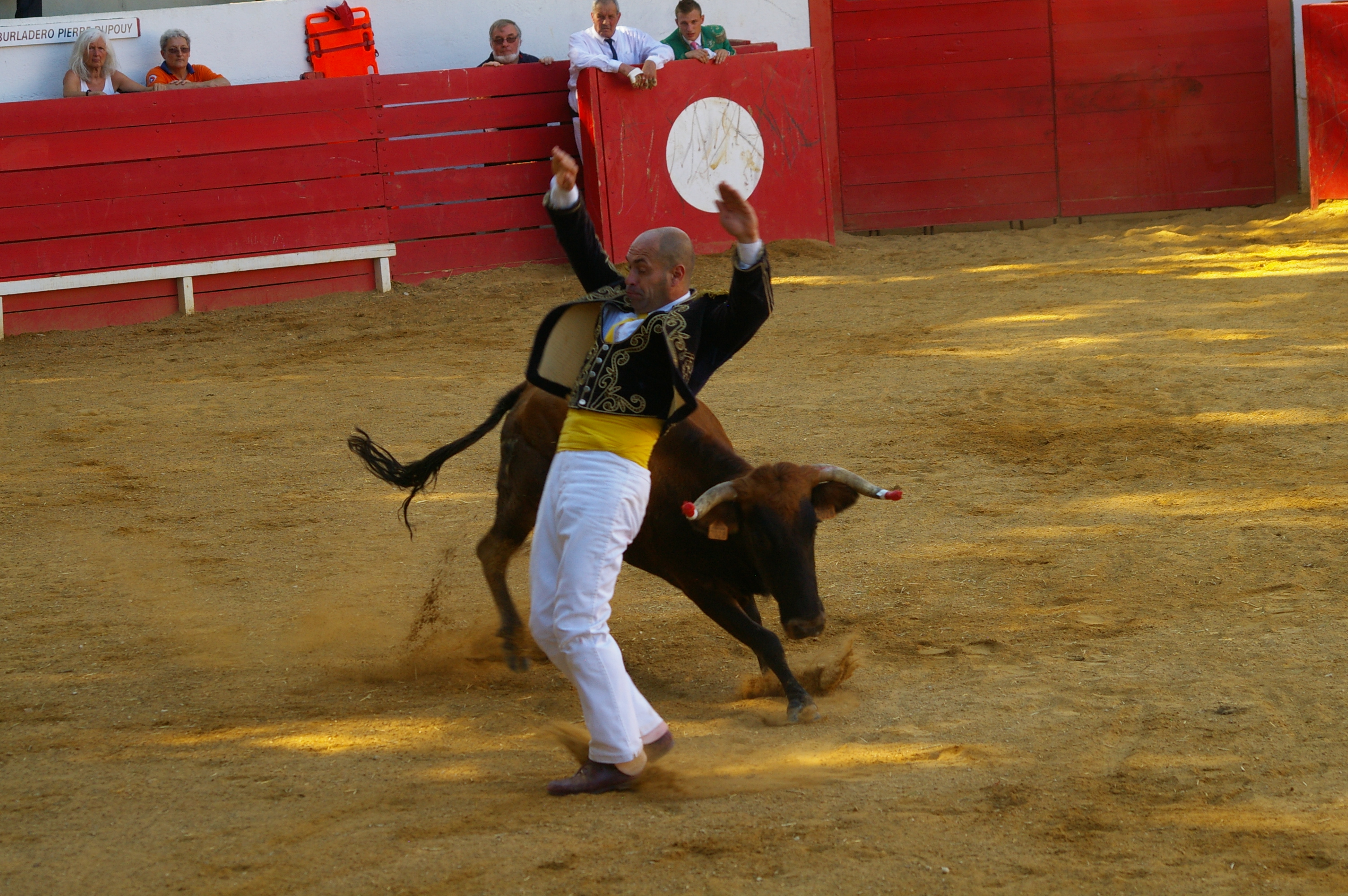 IMGP5560.JPG