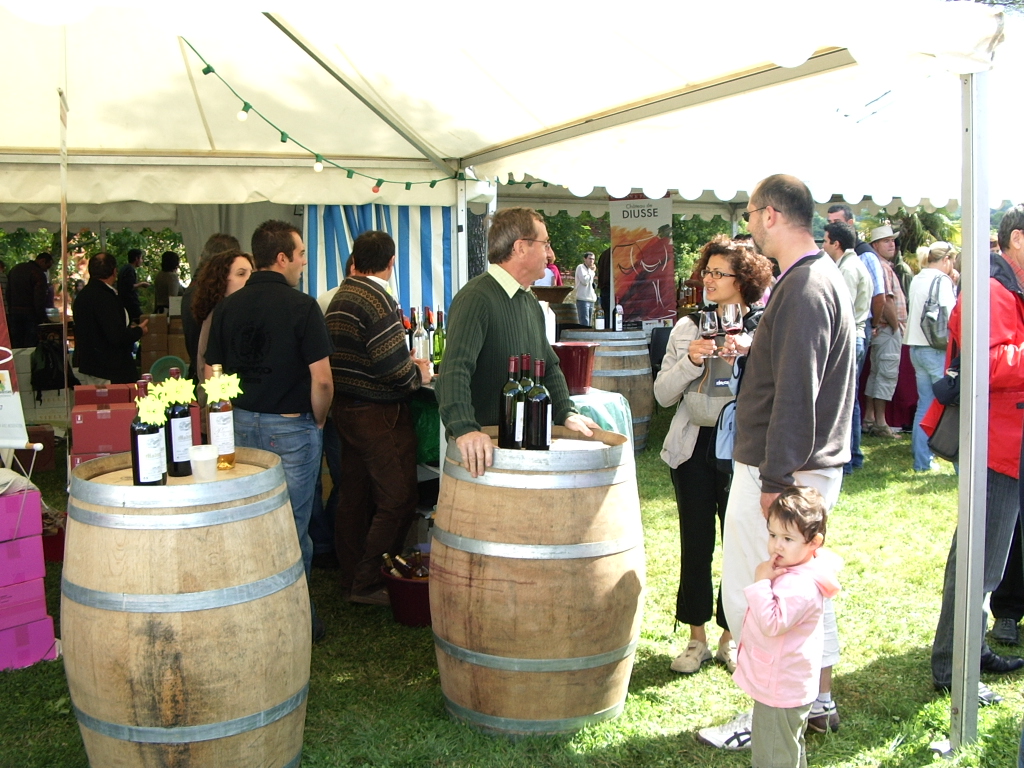 FETES VIN MADIRAN 2008 020.JPG