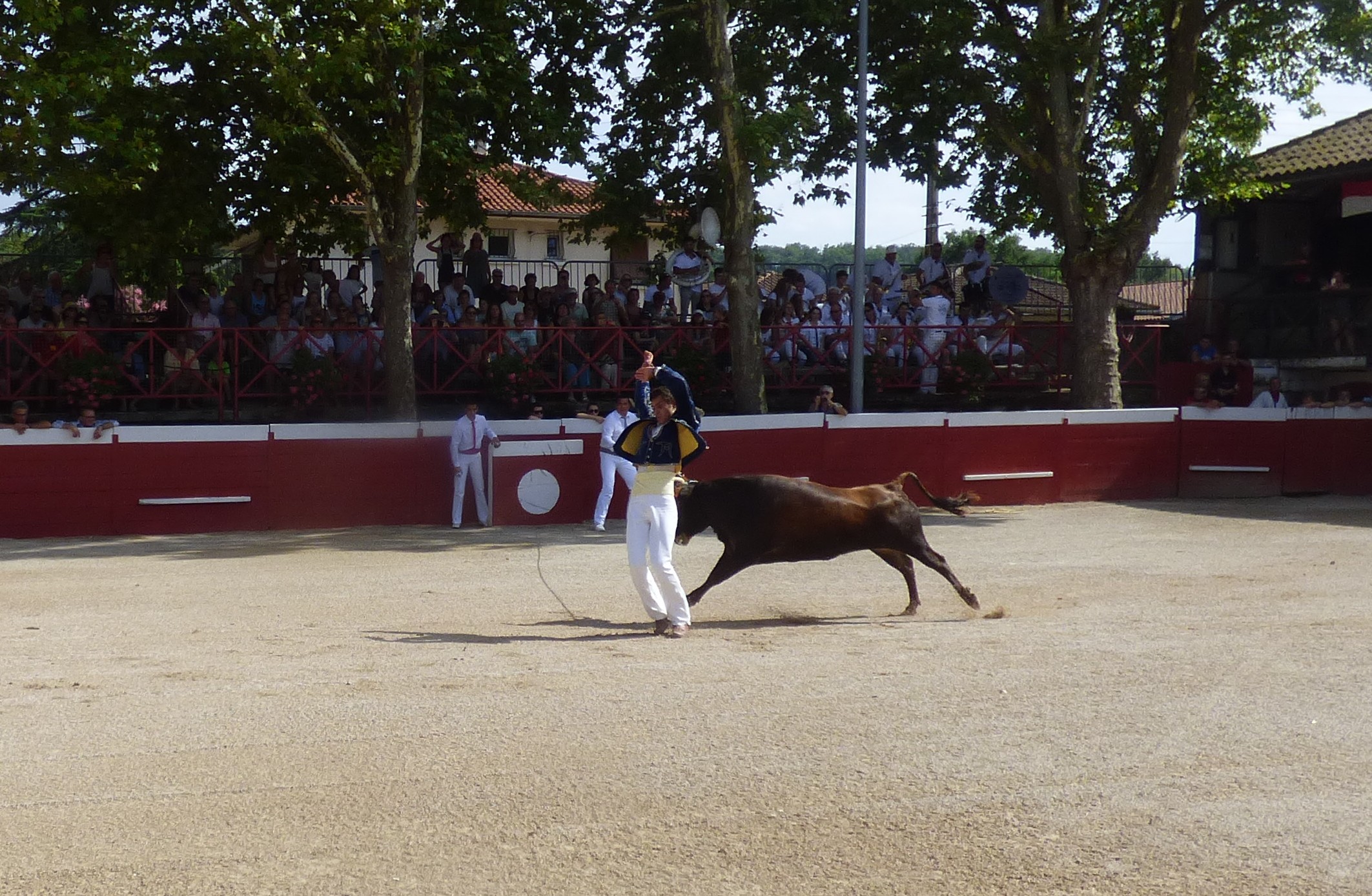 P1020568.JPG