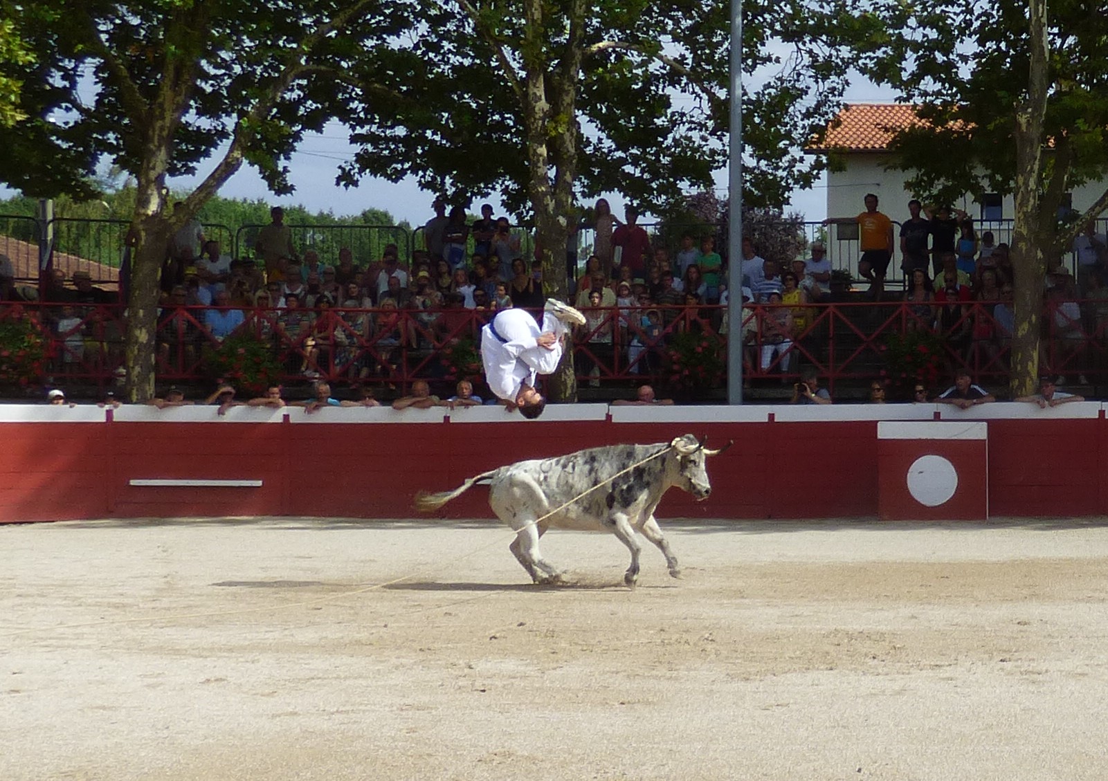 P1020571.JPG