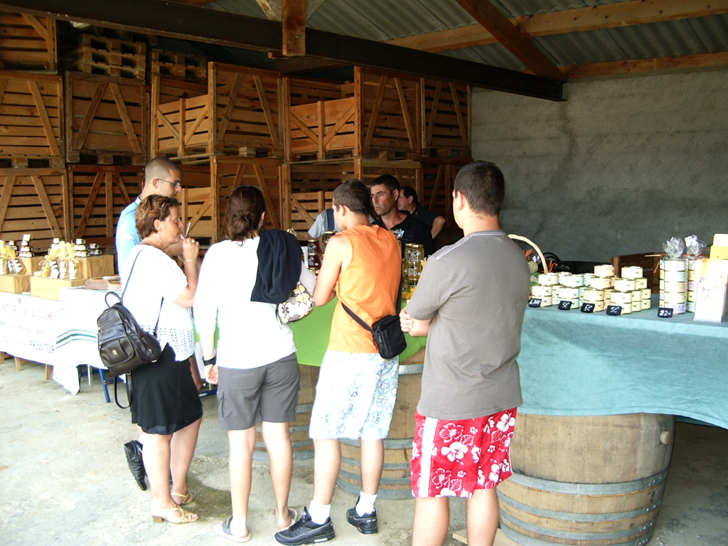 MAUMUSSON DOMAINE BRANA 2008 007.JPG