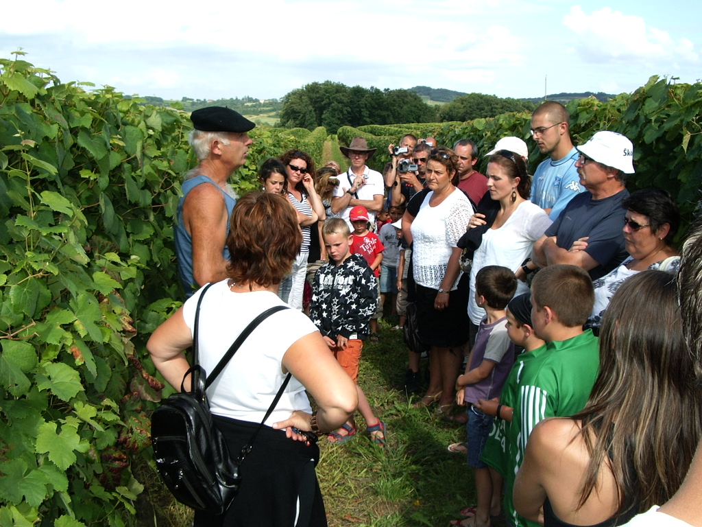MAUMUSSON DOMAINE BRANA 2008 010.JPG