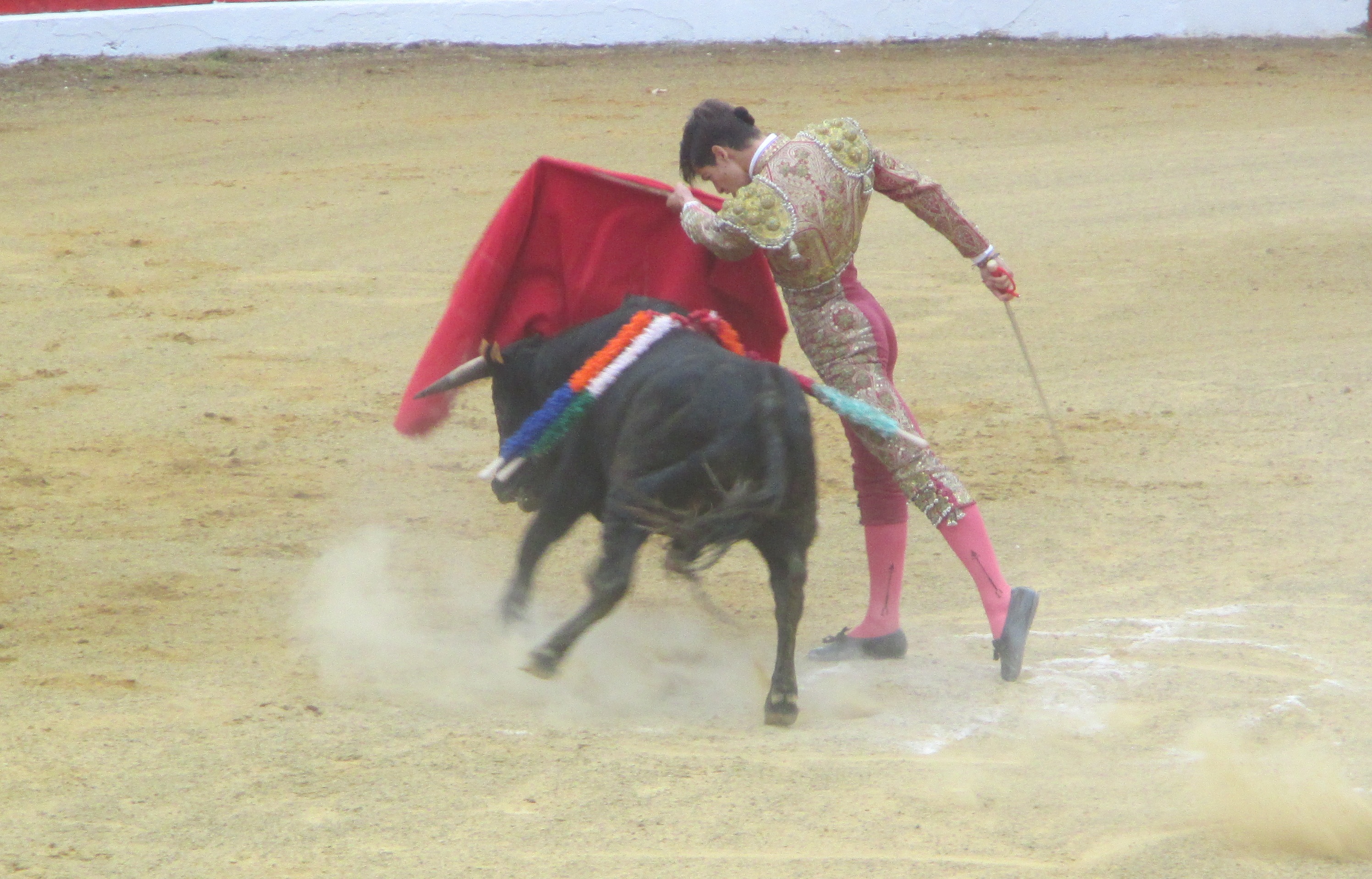 IMG_1963.JPG