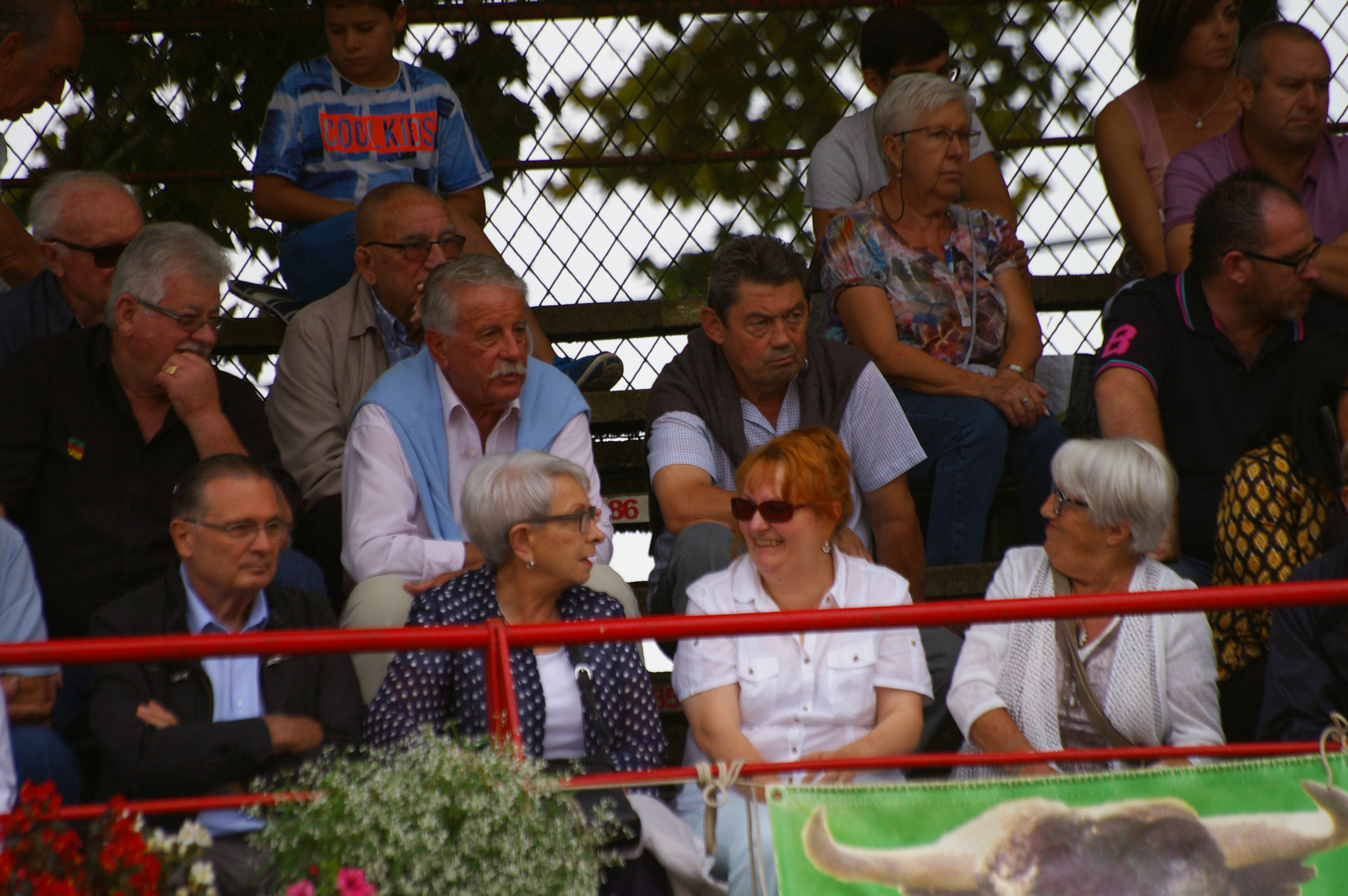 IMGP5671.JPG