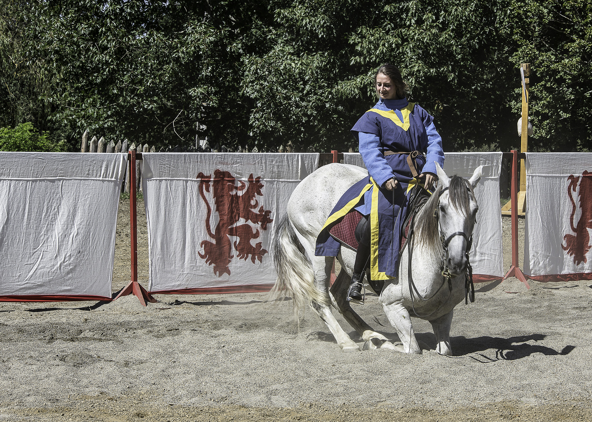 4 Estelle Berland dressage 1bis 060817.jpg