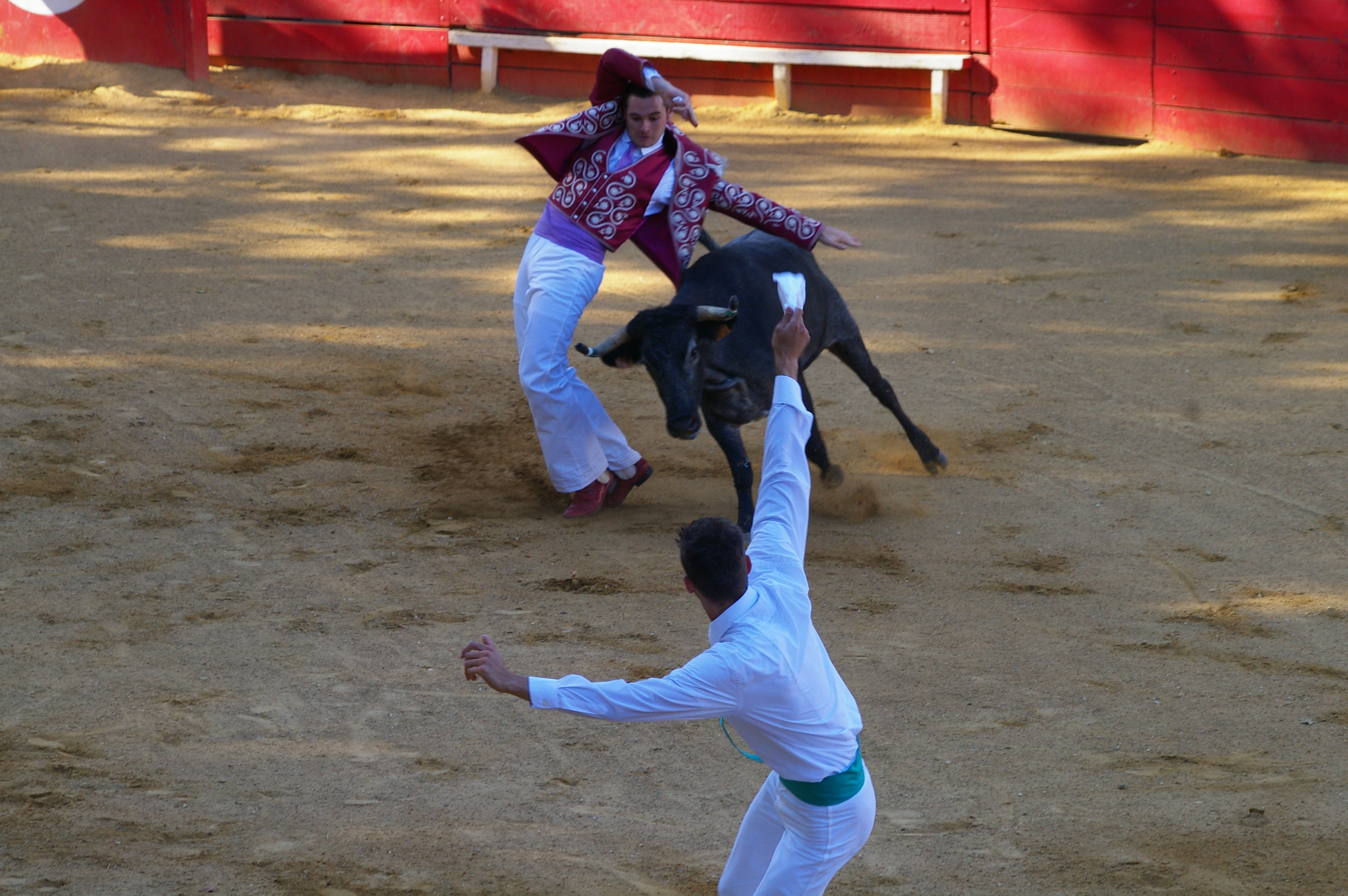 IMGP5780.JPG