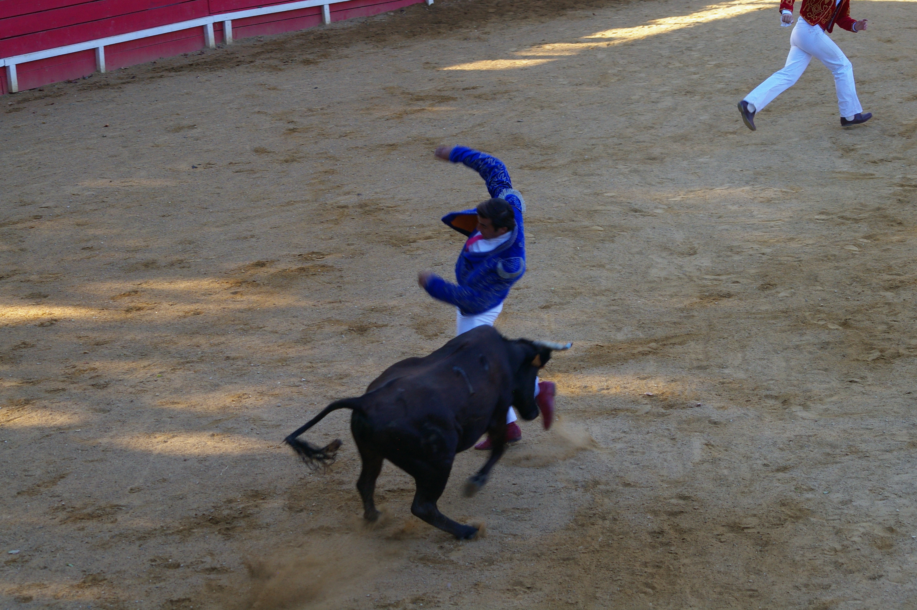 IMGP5797.JPG