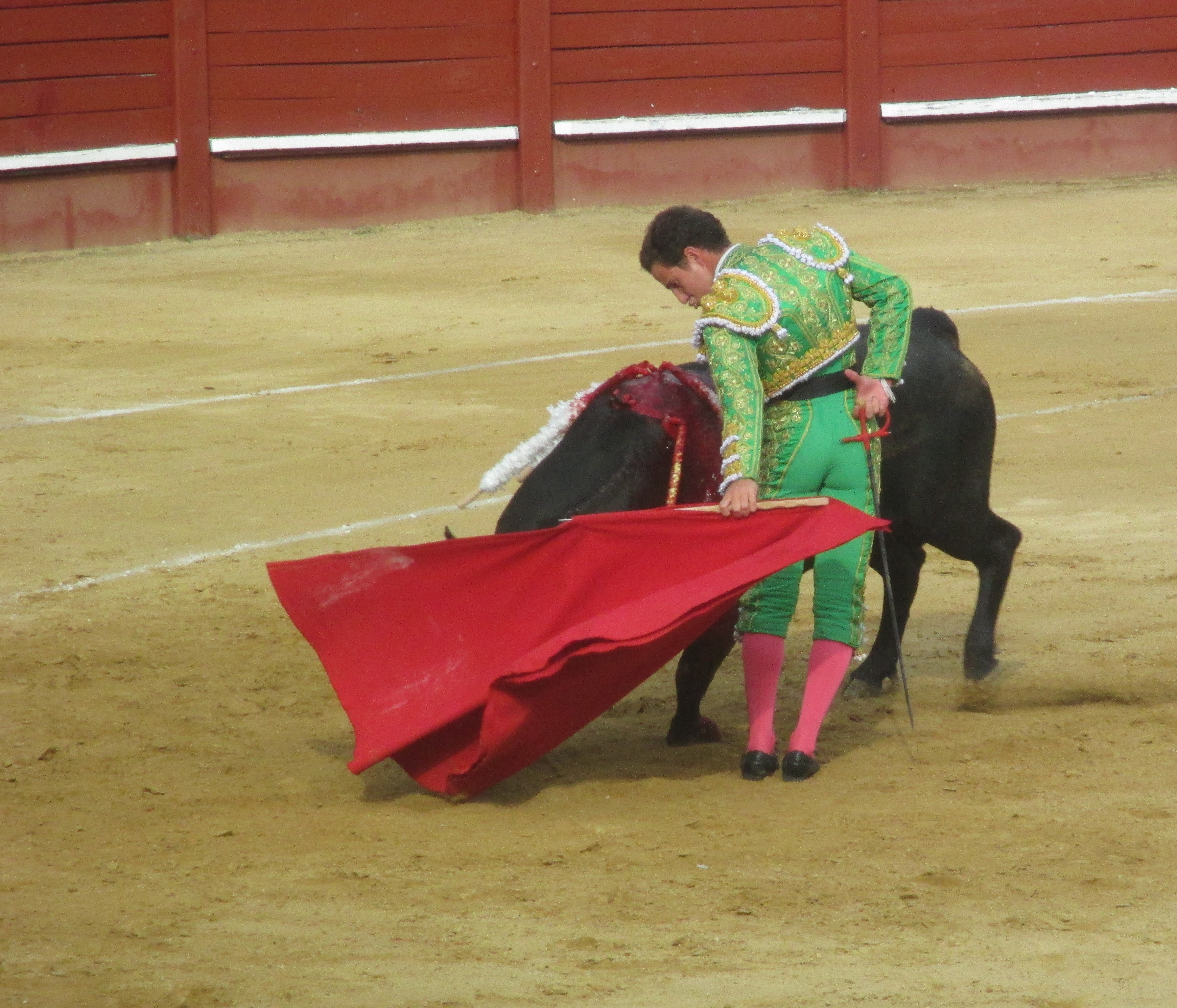 IMG_2077.JPG