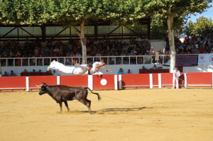 img_0952-copie-300x199.jpg