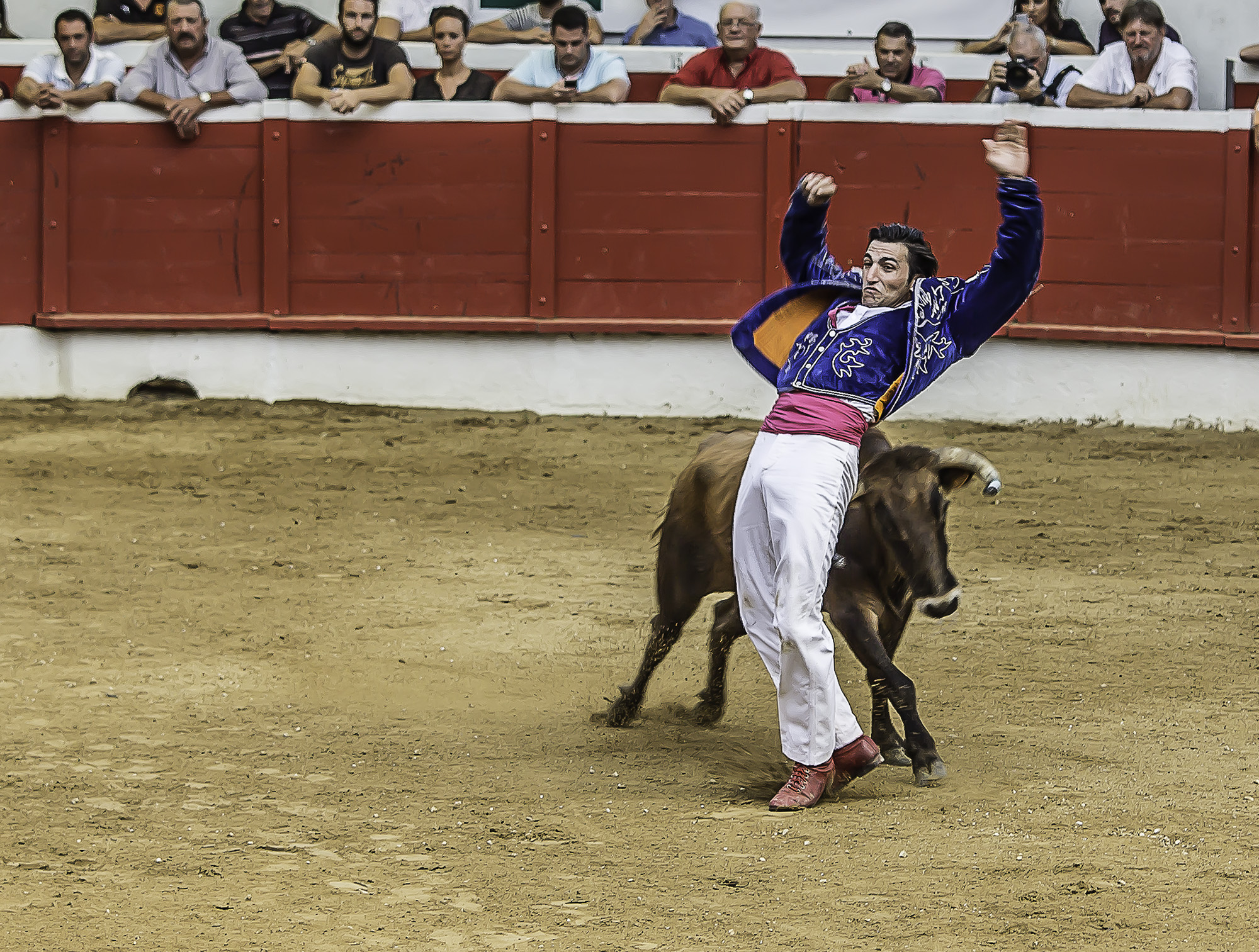 22 Ecart bien serré avec vache libre 1bis 150817.jpg