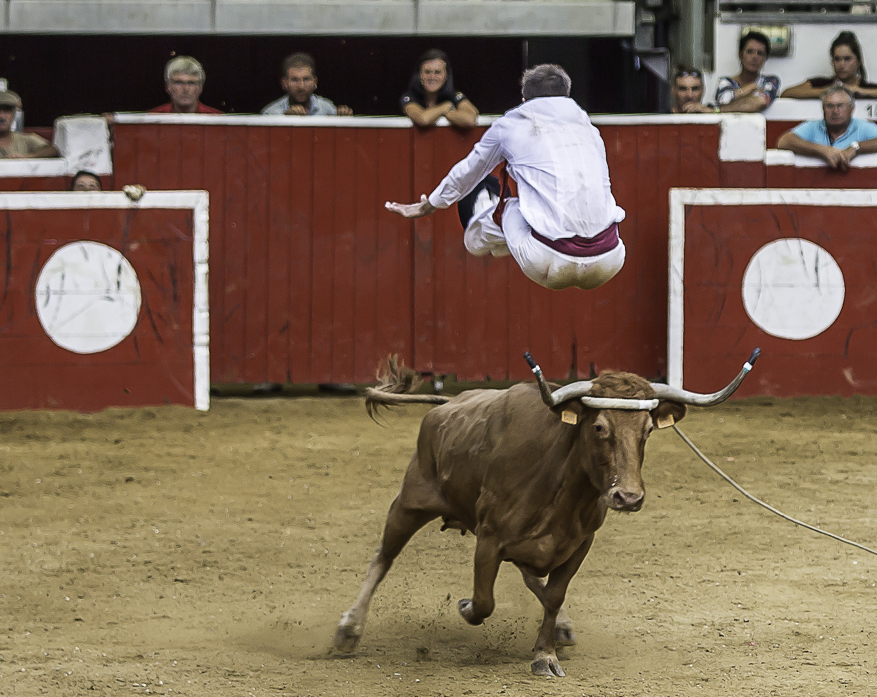 24 Saut périlleux 1bis 150817.jpg