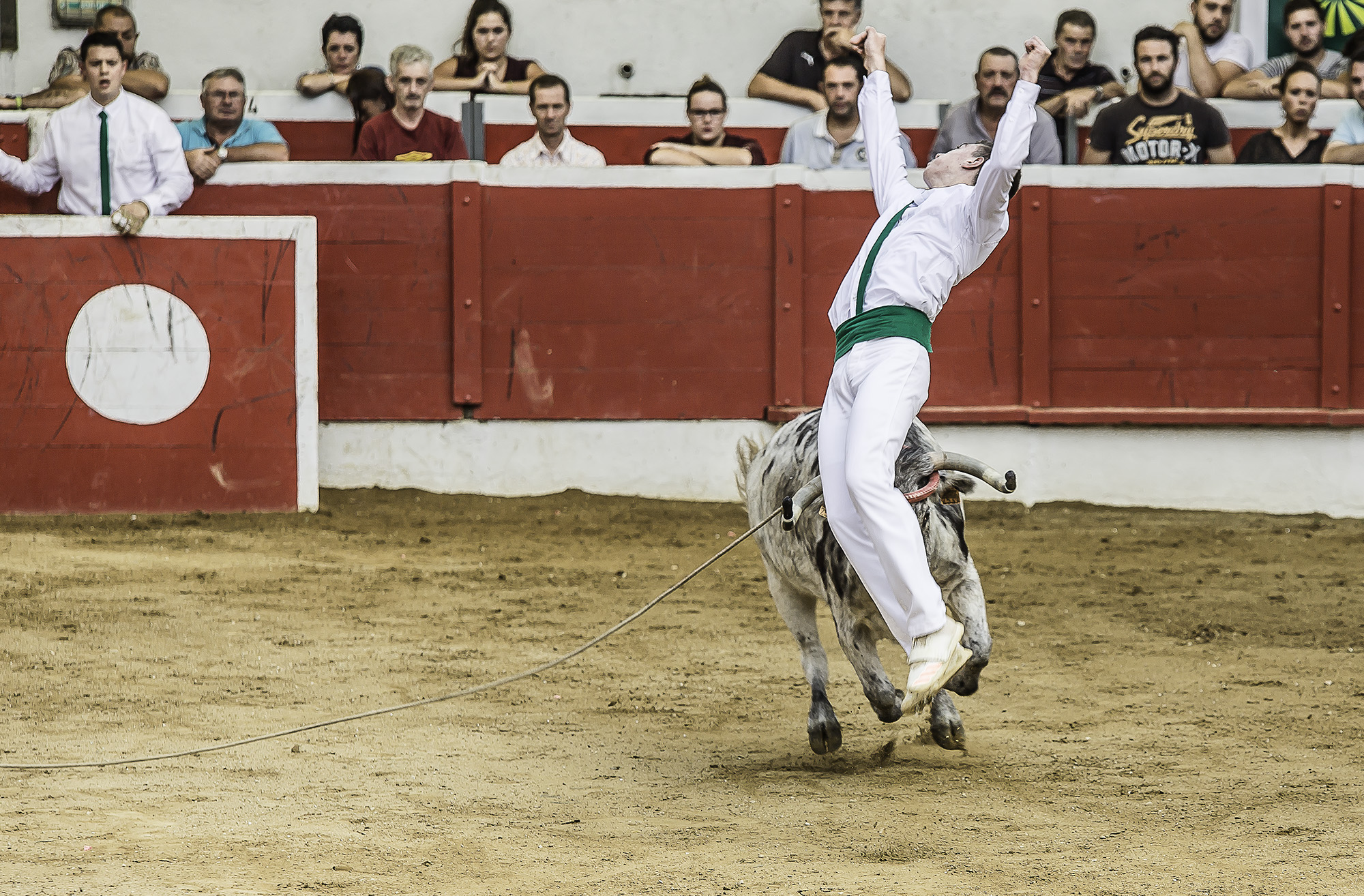 11 Départ de saut vrillé 1bis 150817.jpg