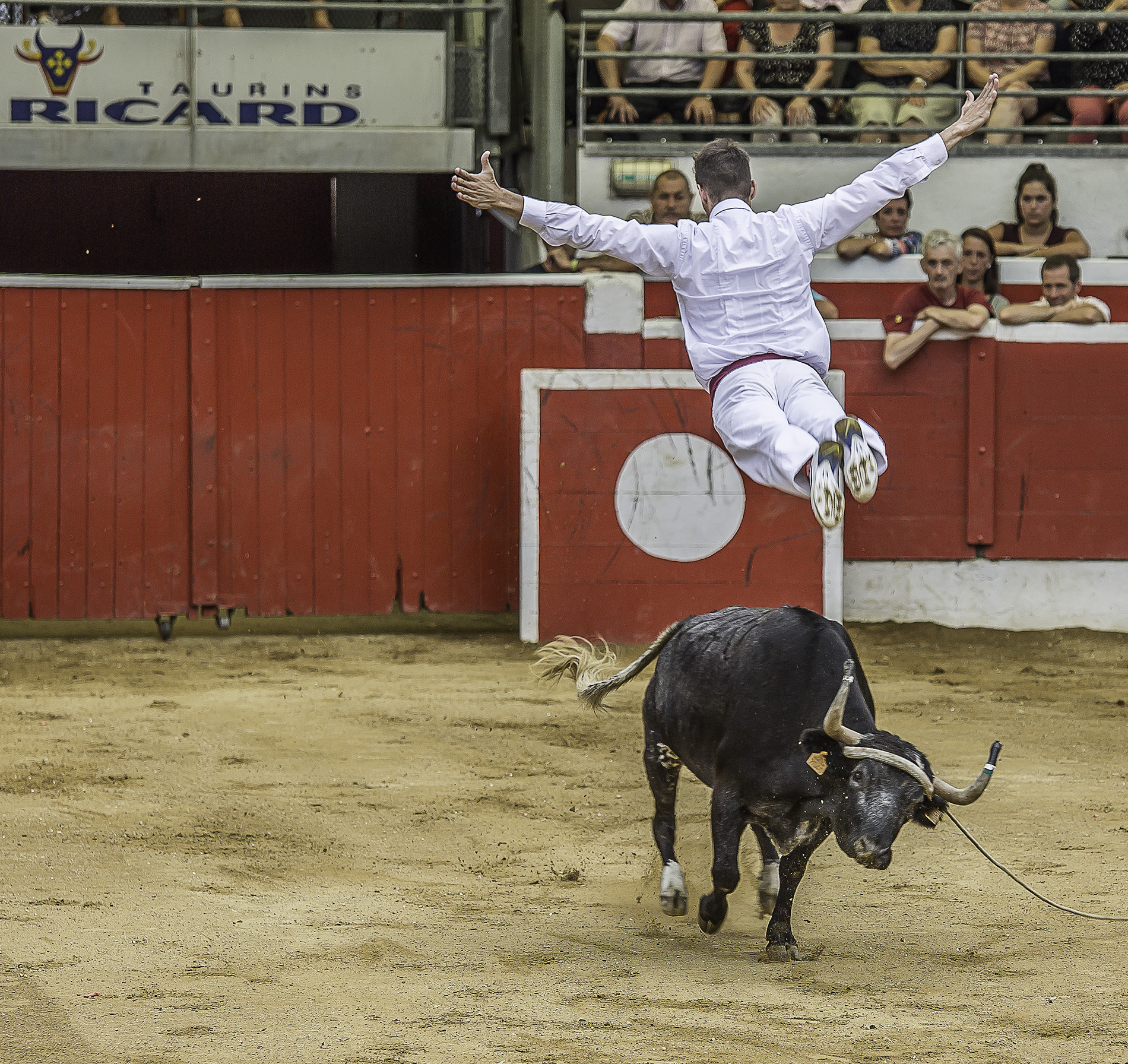 6 Saut de l'ange étonnement de la vache 1bis 150817.jpg