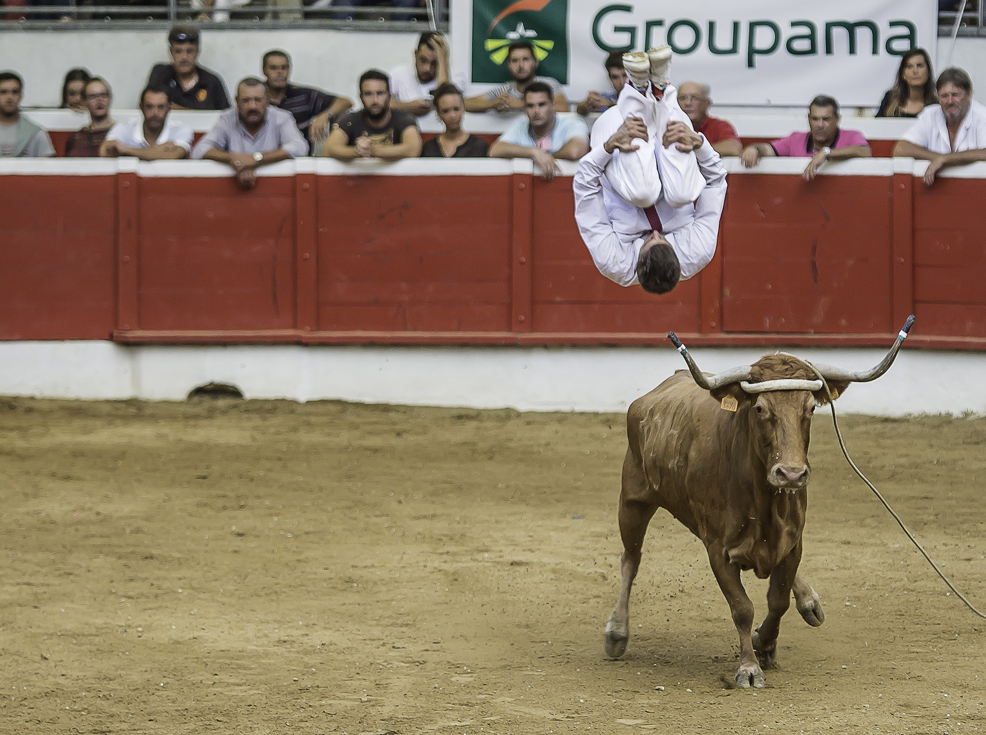 25 Saut périlleux arrière 1bis 150817.jpg