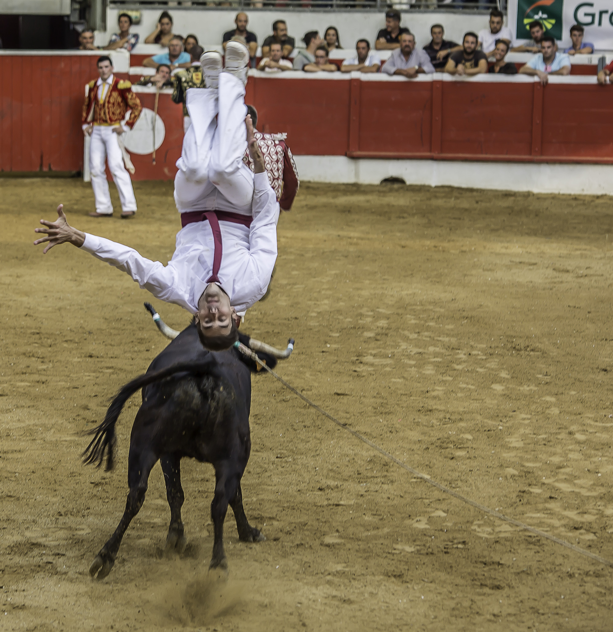 2 Saut périlleux 1bis 150817.jpg