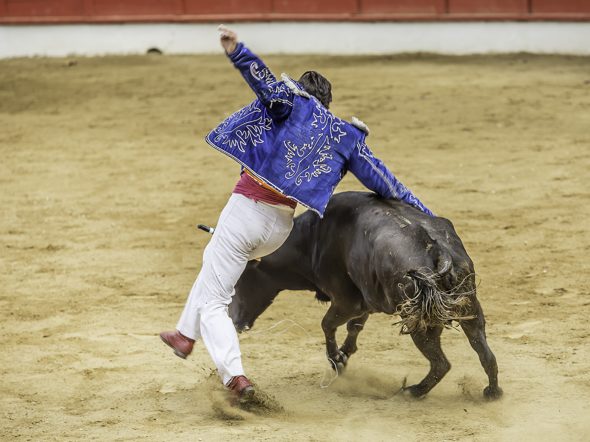 a Tu dances 1bis 150817.jpg
