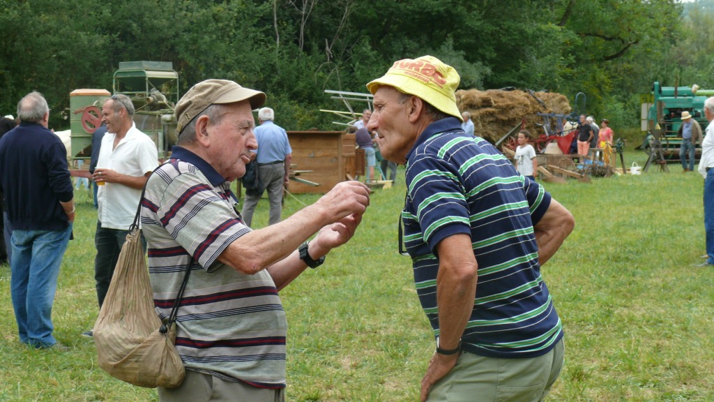 P1340679.JPG