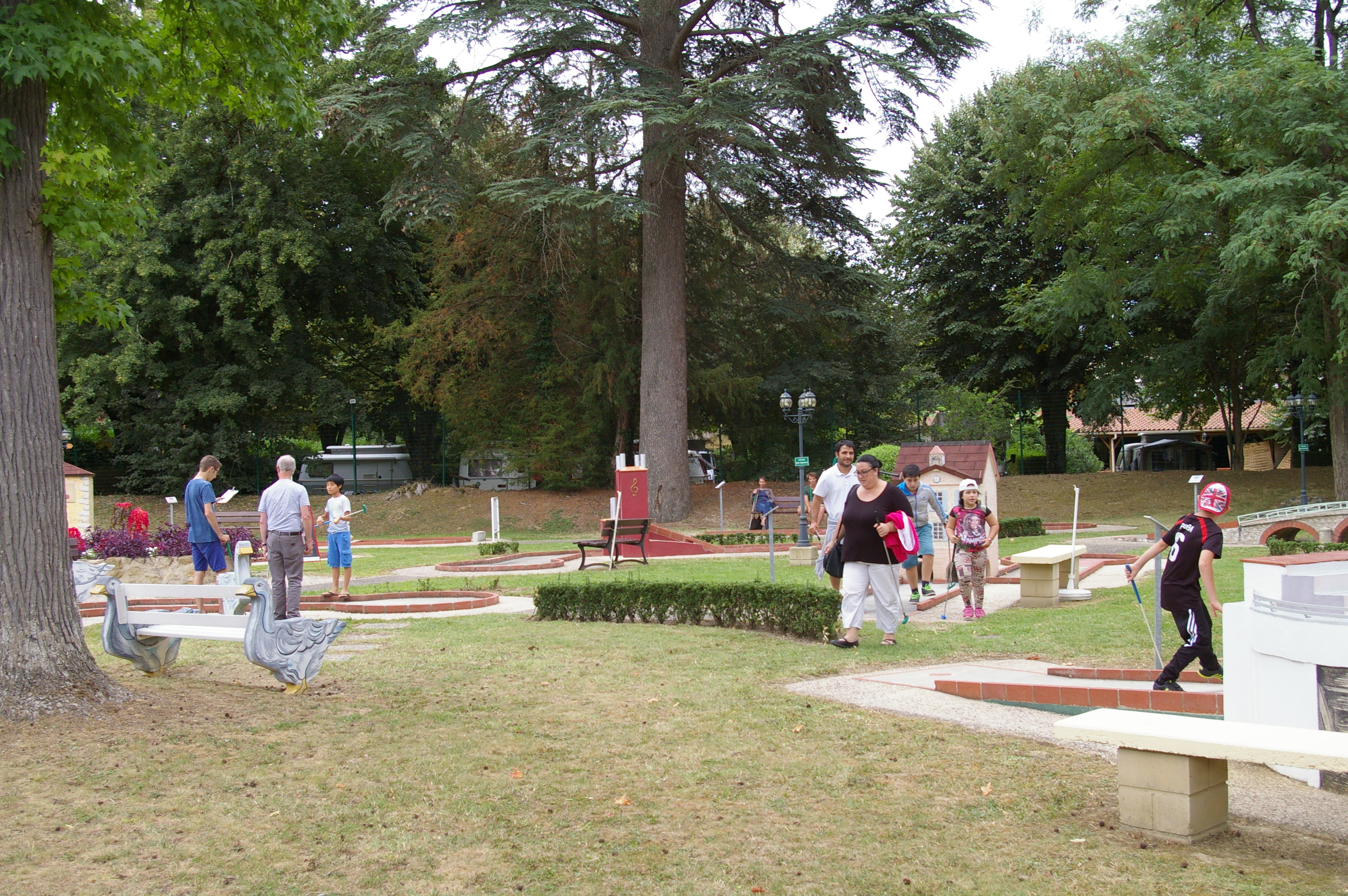IMGP5693.JPG