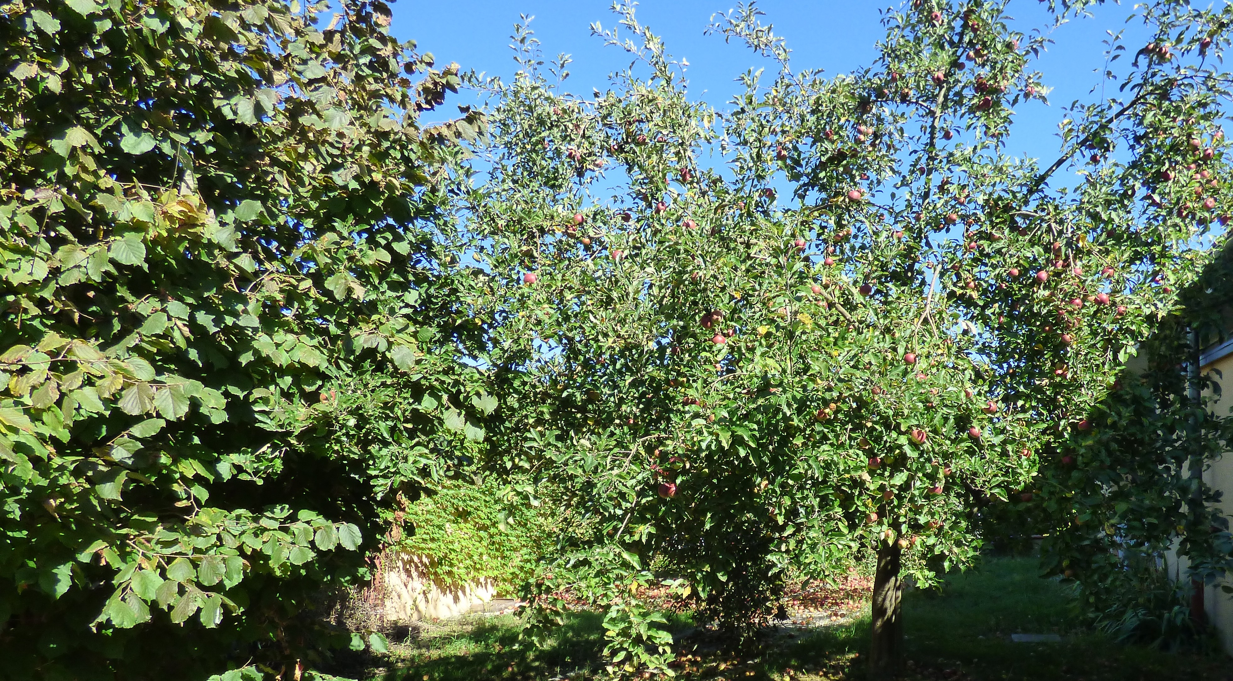 P1020783.JPG
