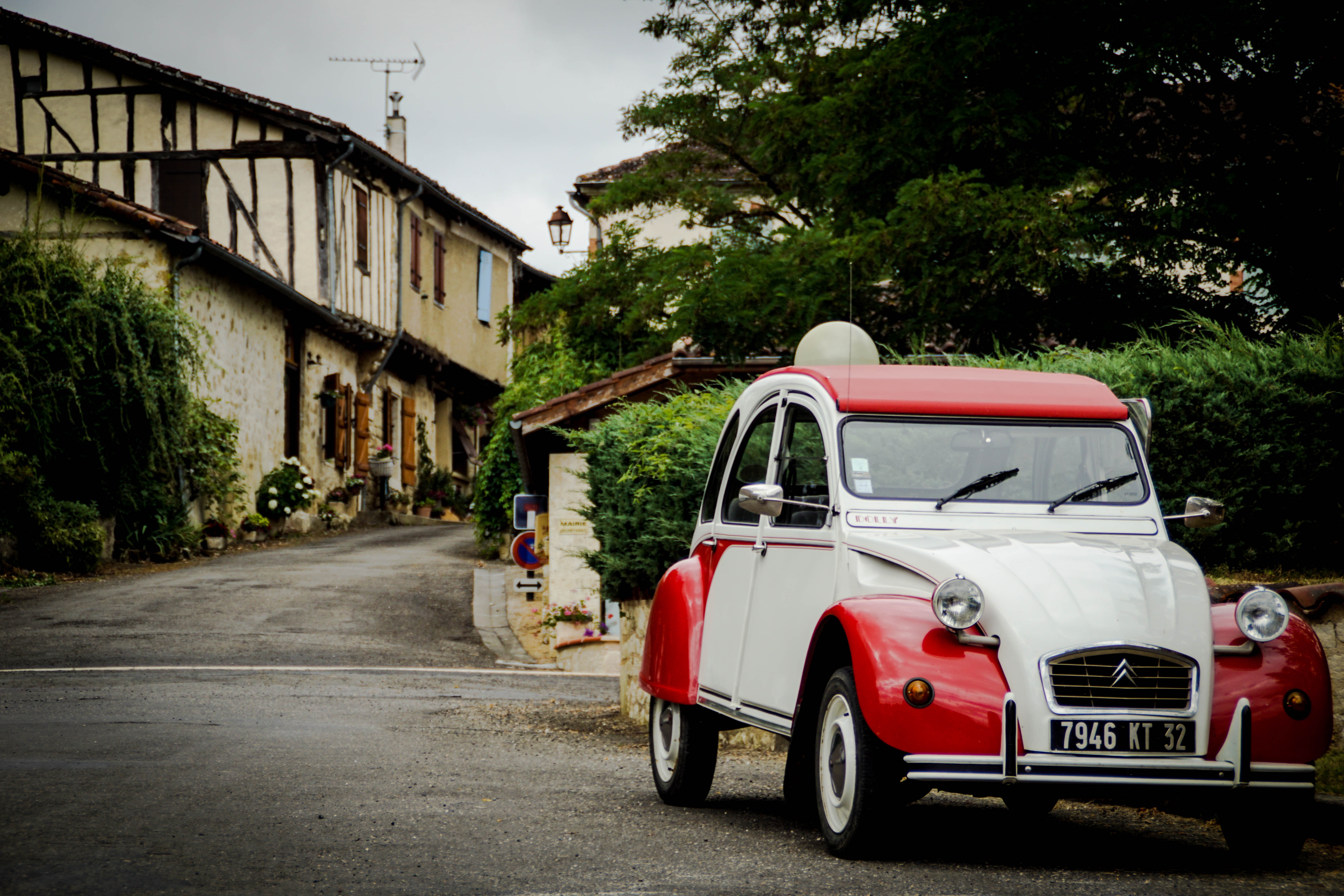 DSC00607 (1).jpg