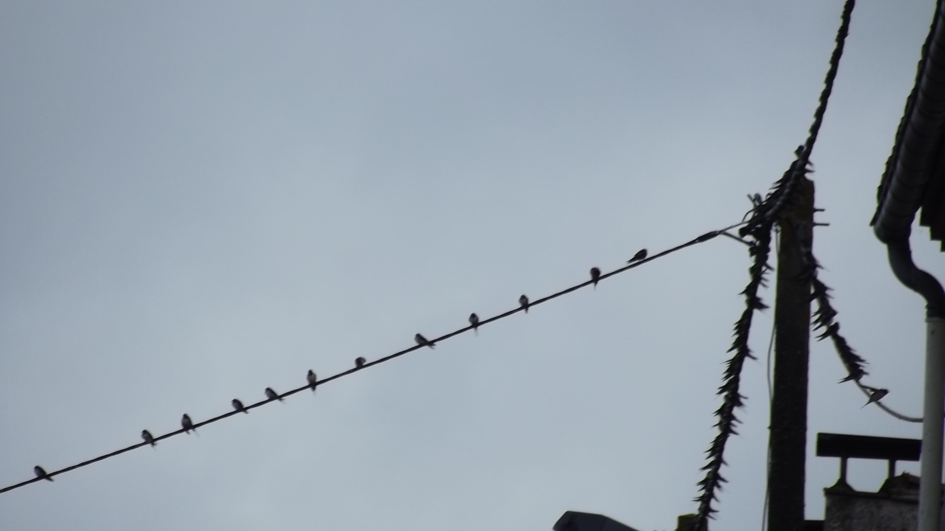 DSCF3312.JPG