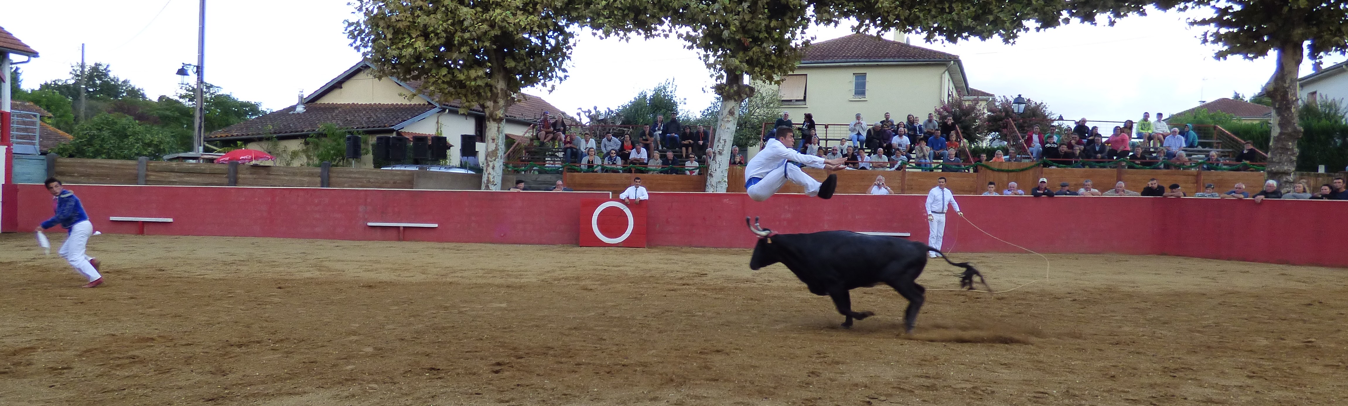 P1020865.JPG