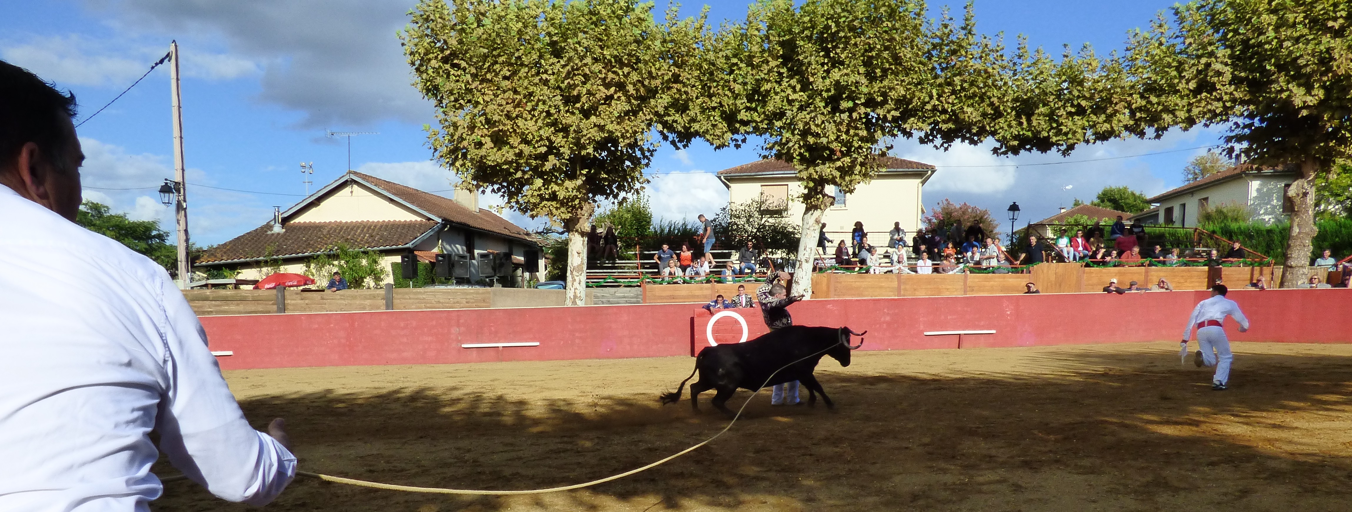 P1020853.JPG