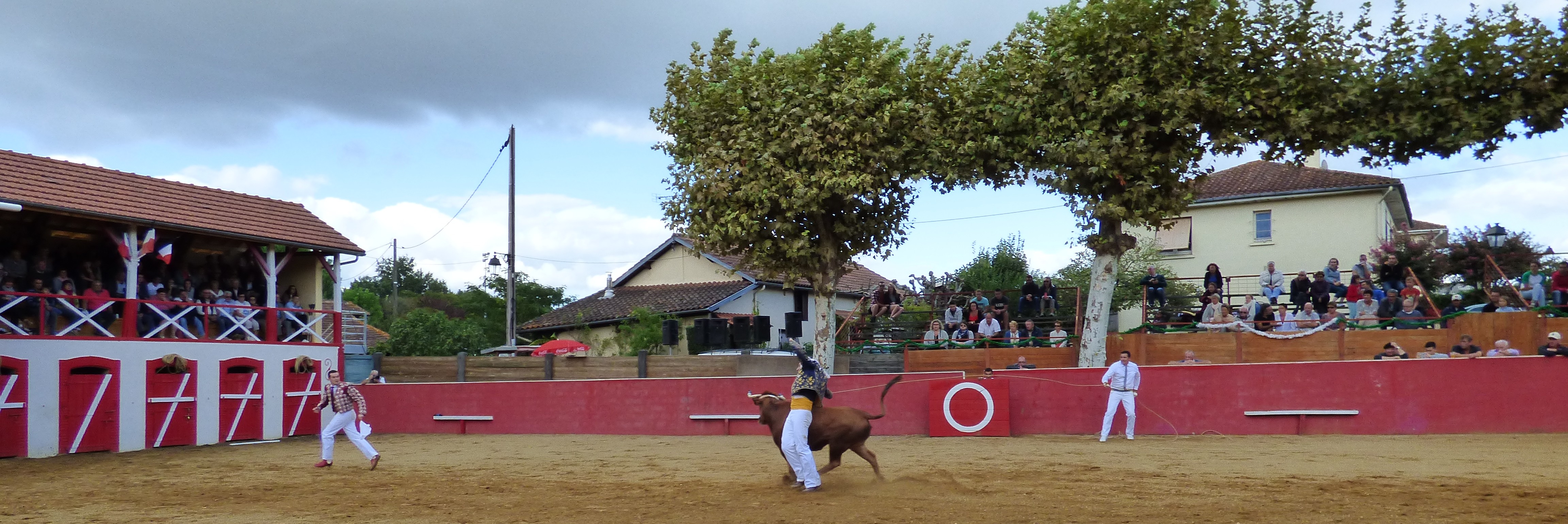 P1020859.JPG