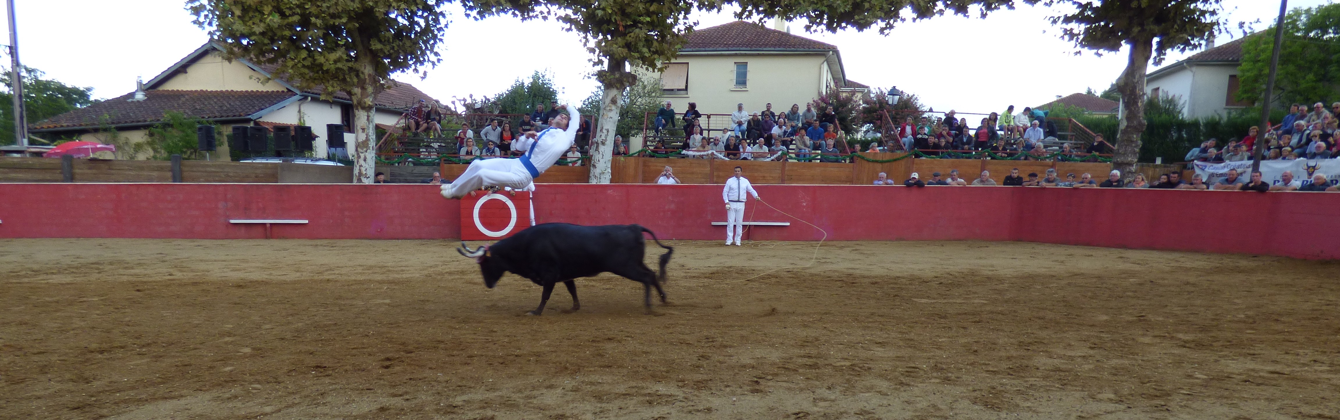 P1020867.JPG