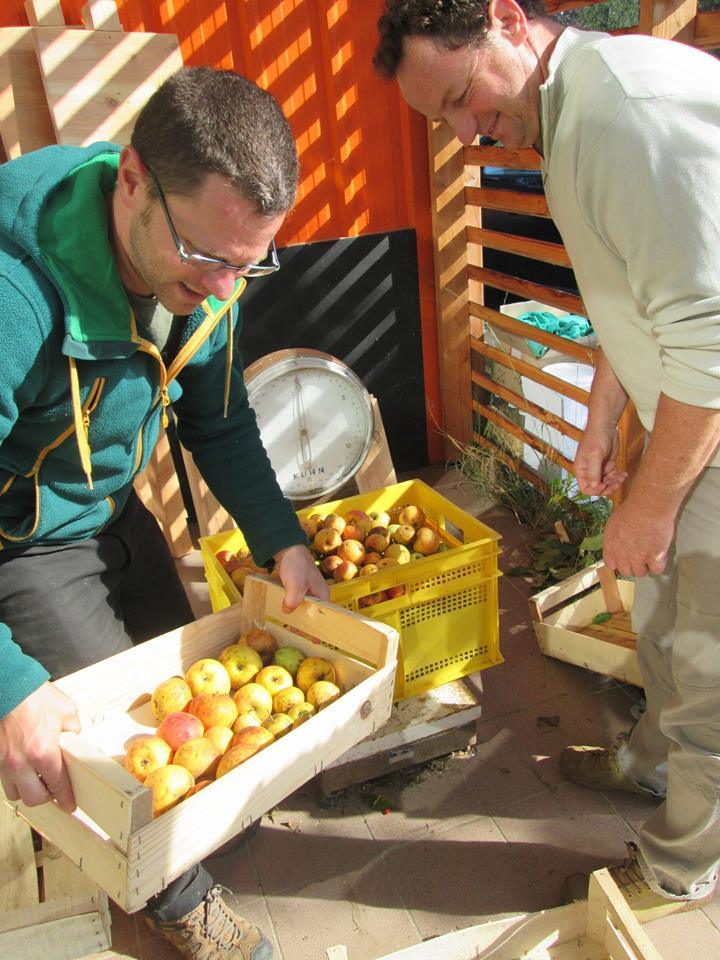 RISCLE ECOCENTRE PIERRE ET TERRE CROQUE TON JUS 2016.jpg