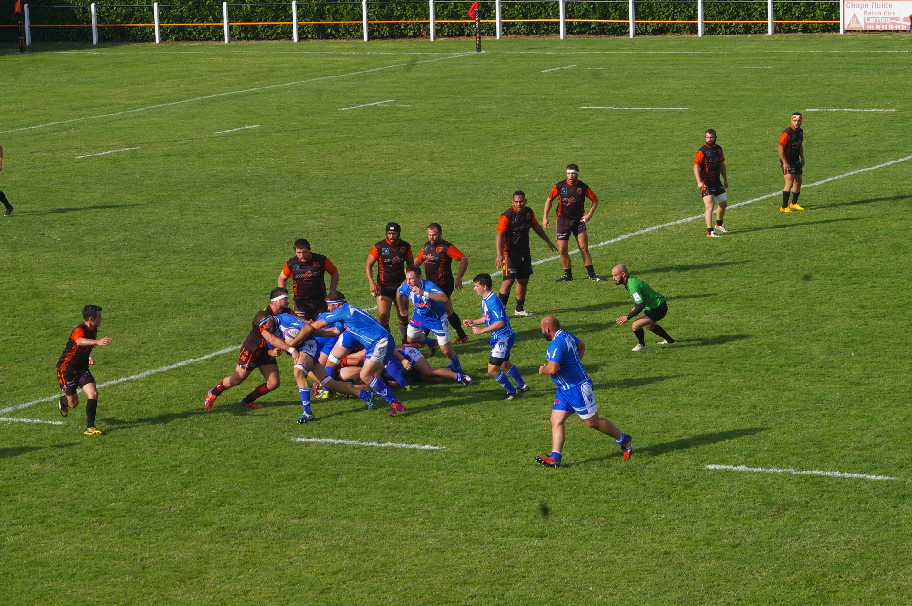 IMGP6090.JPG