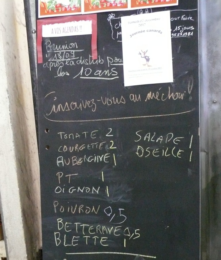 P1350833.JPG