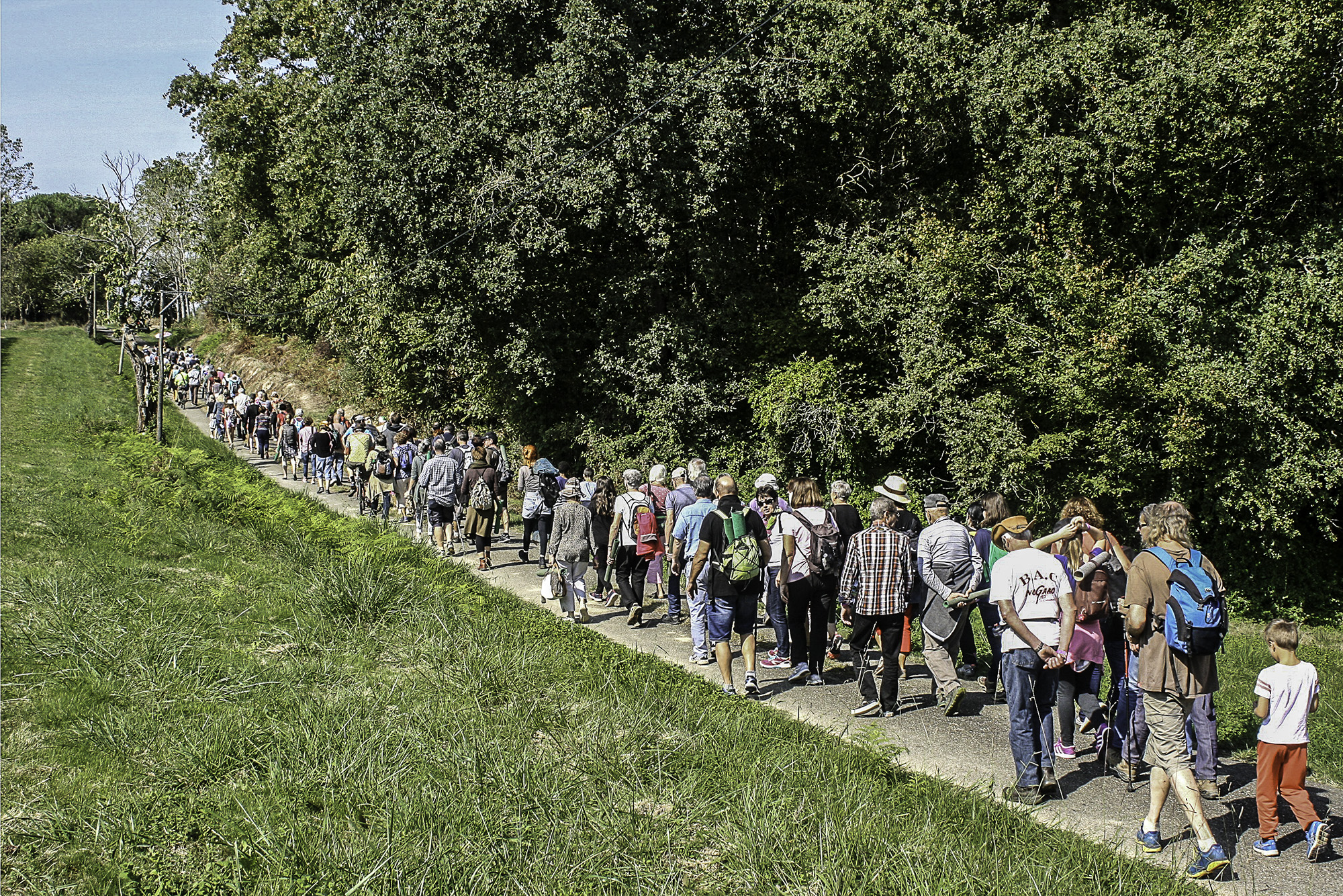 DR Jean-François Van Overstraeten 3 Le long cortège promeneurs-spectateurs 1bis 240917.JPG