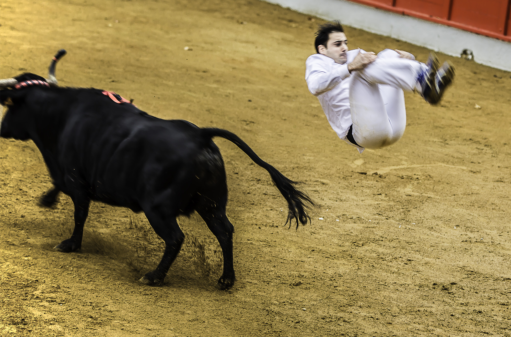 7 Fin saut per 1bis 021017.jpg