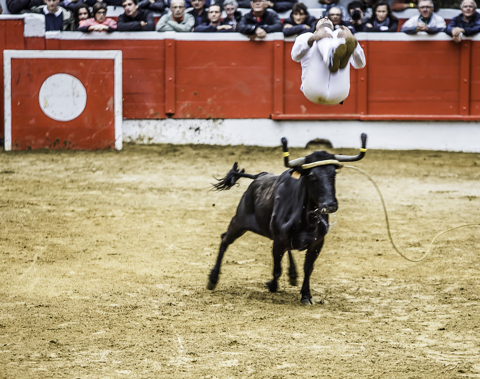 15 Saut per arrière 1bis 021017.jpg