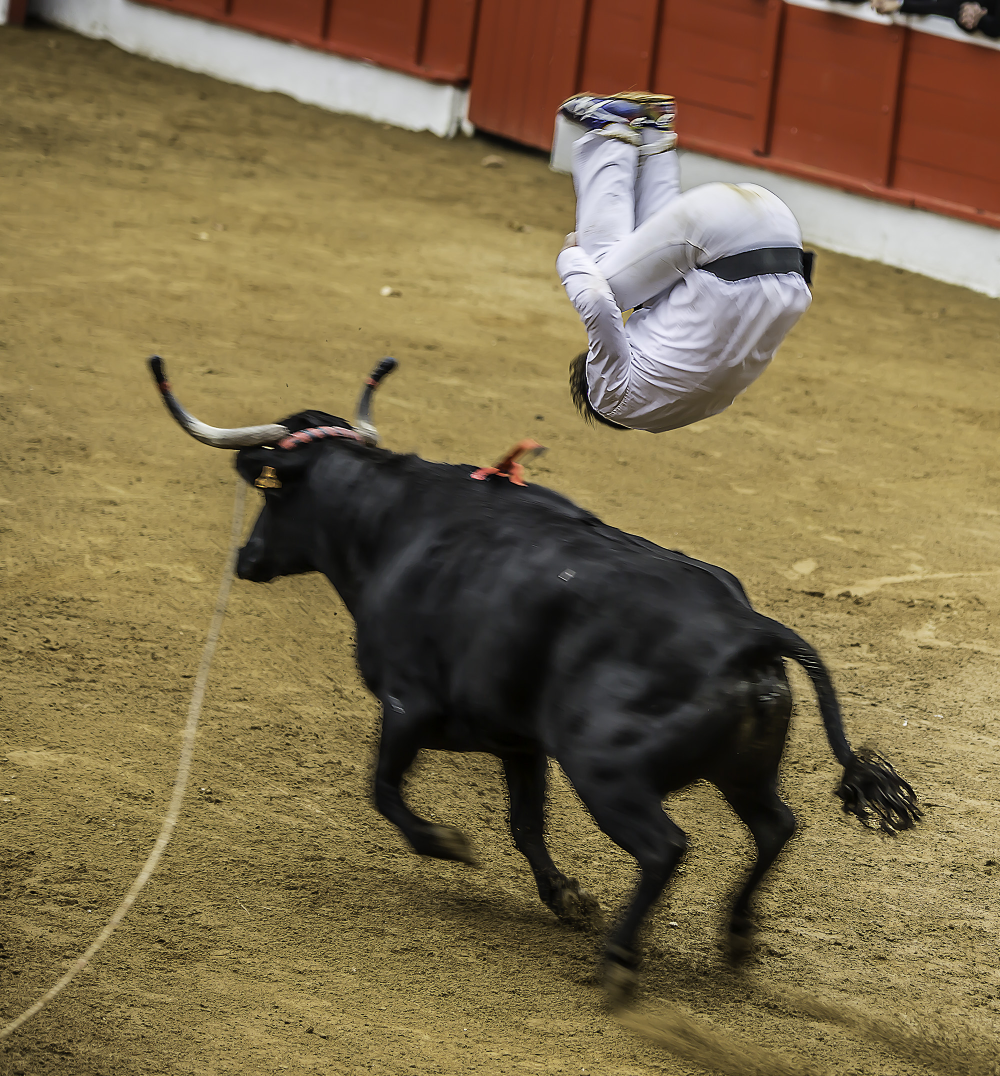 6 Saut per 1bis 021017.jpg
