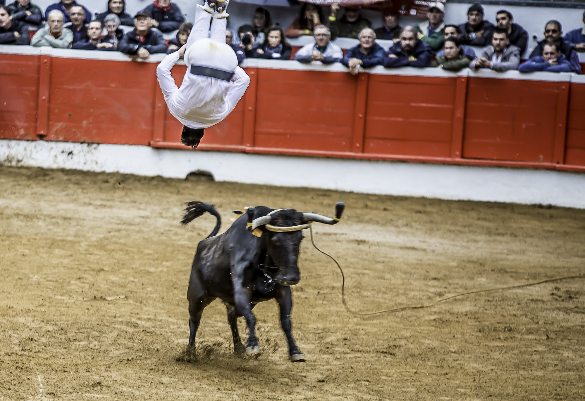 10 Fin de saut per 1bis 021017 Saut per arrière 1bis 021017.jpg
