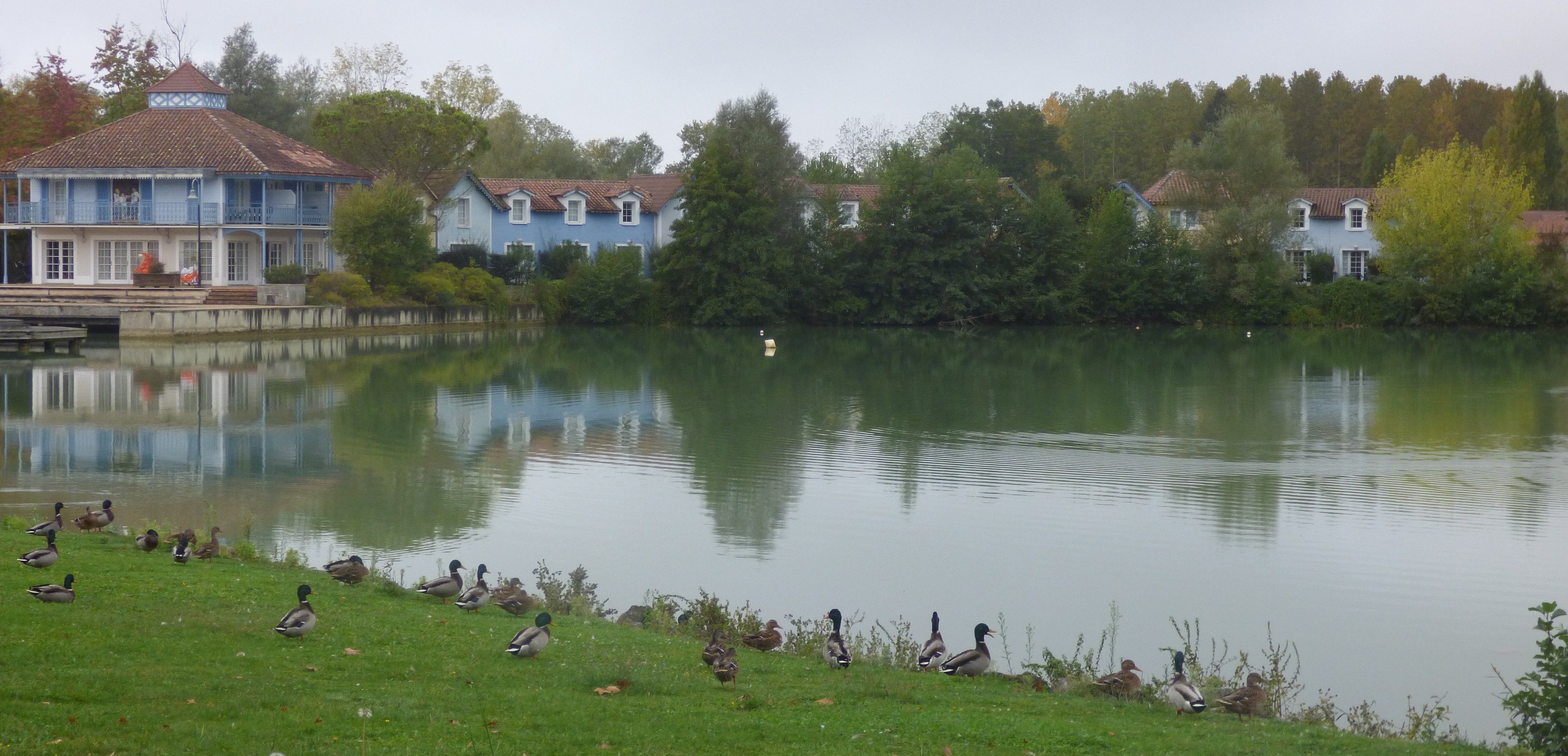 P1030115.JPG